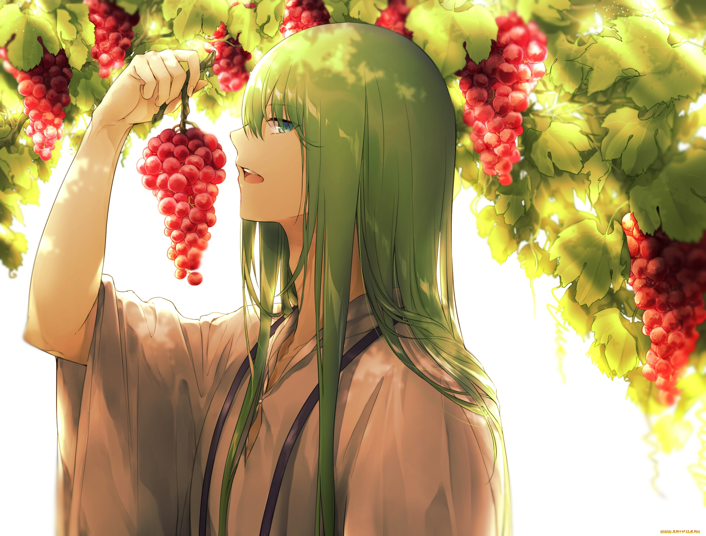 аниме, fate, stay, night, enkidu