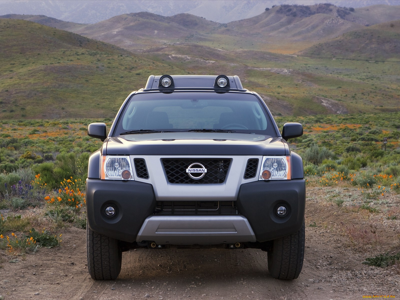 nissan, xterra, 2010, автомобили, datsun