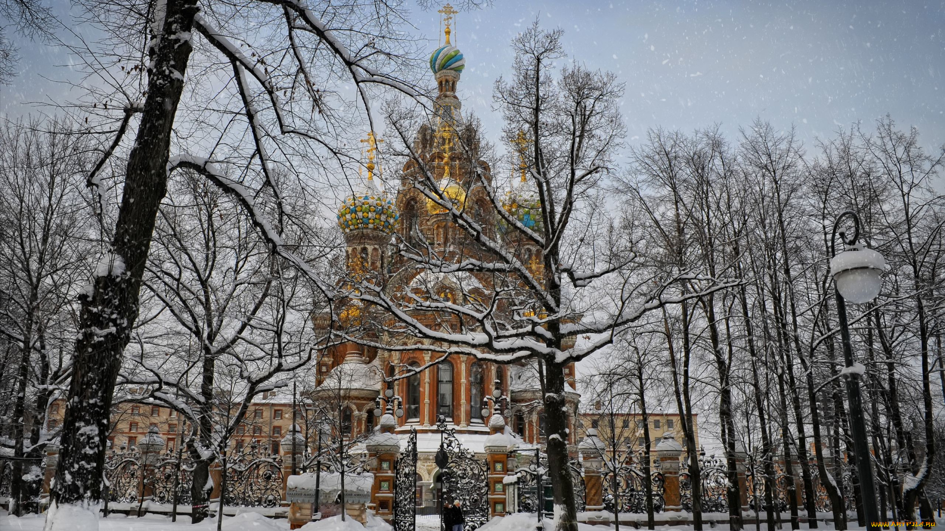 авт, serg, sergeew, города, санкт, петербург, петергоф, россия