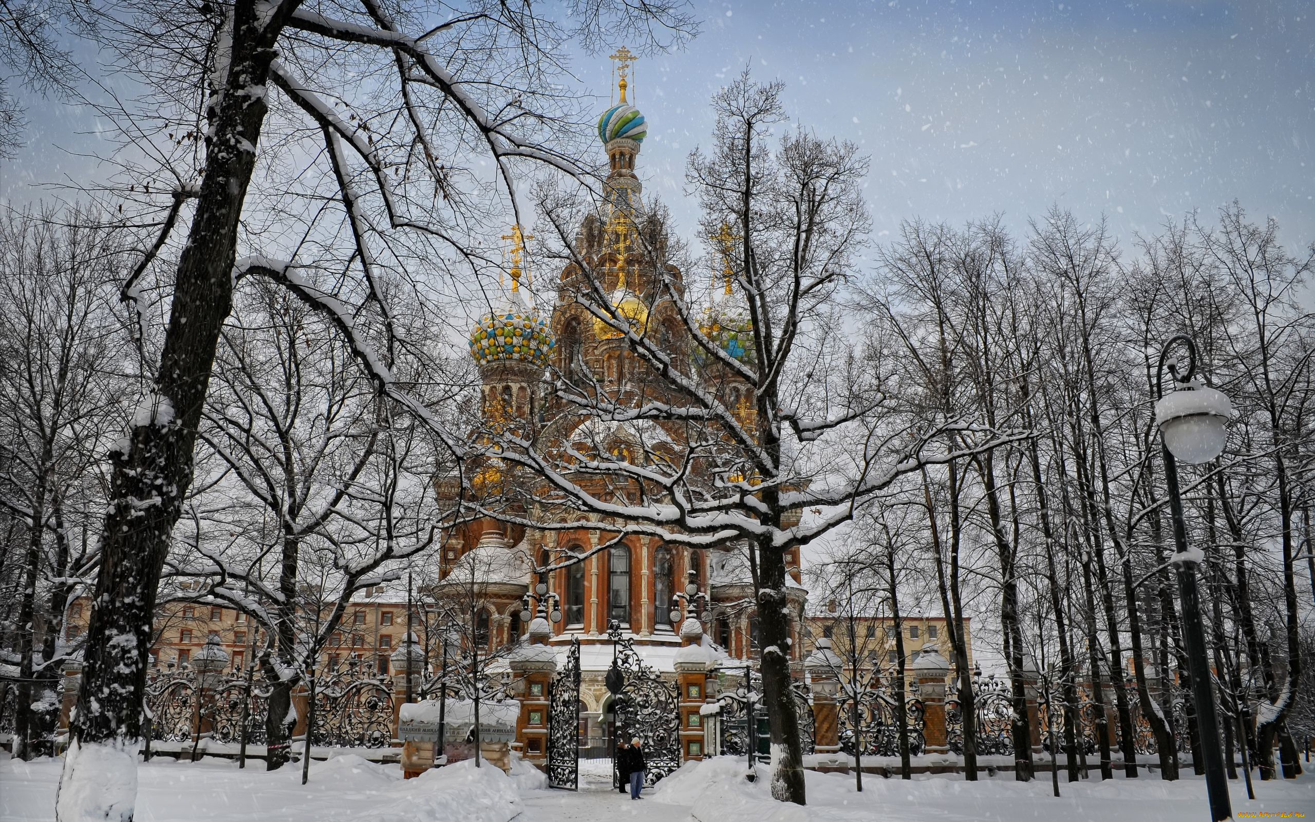 авт, serg, sergeew, города, санкт, петербург, петергоф, россия