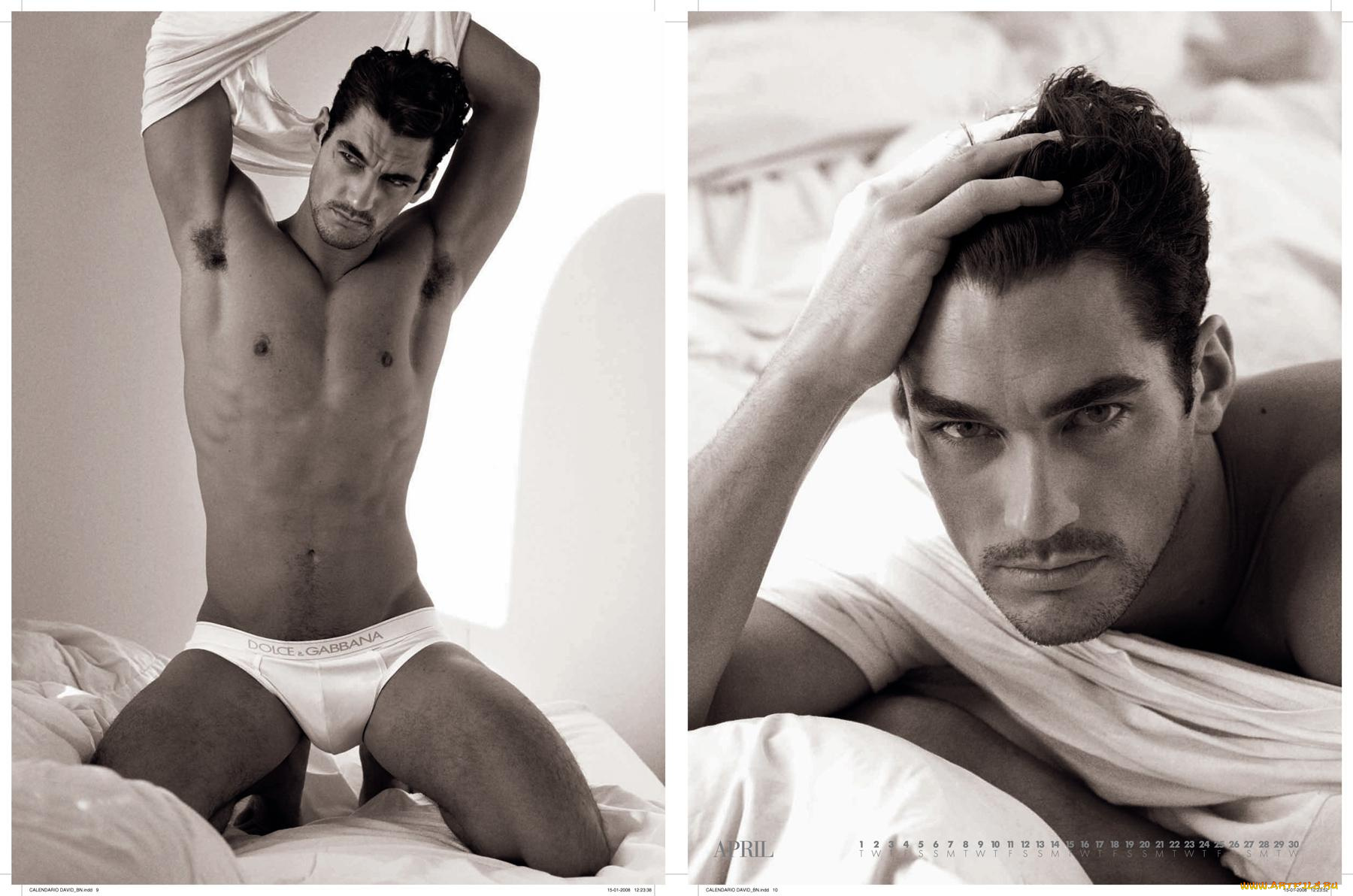 david, gandy, календари, люди