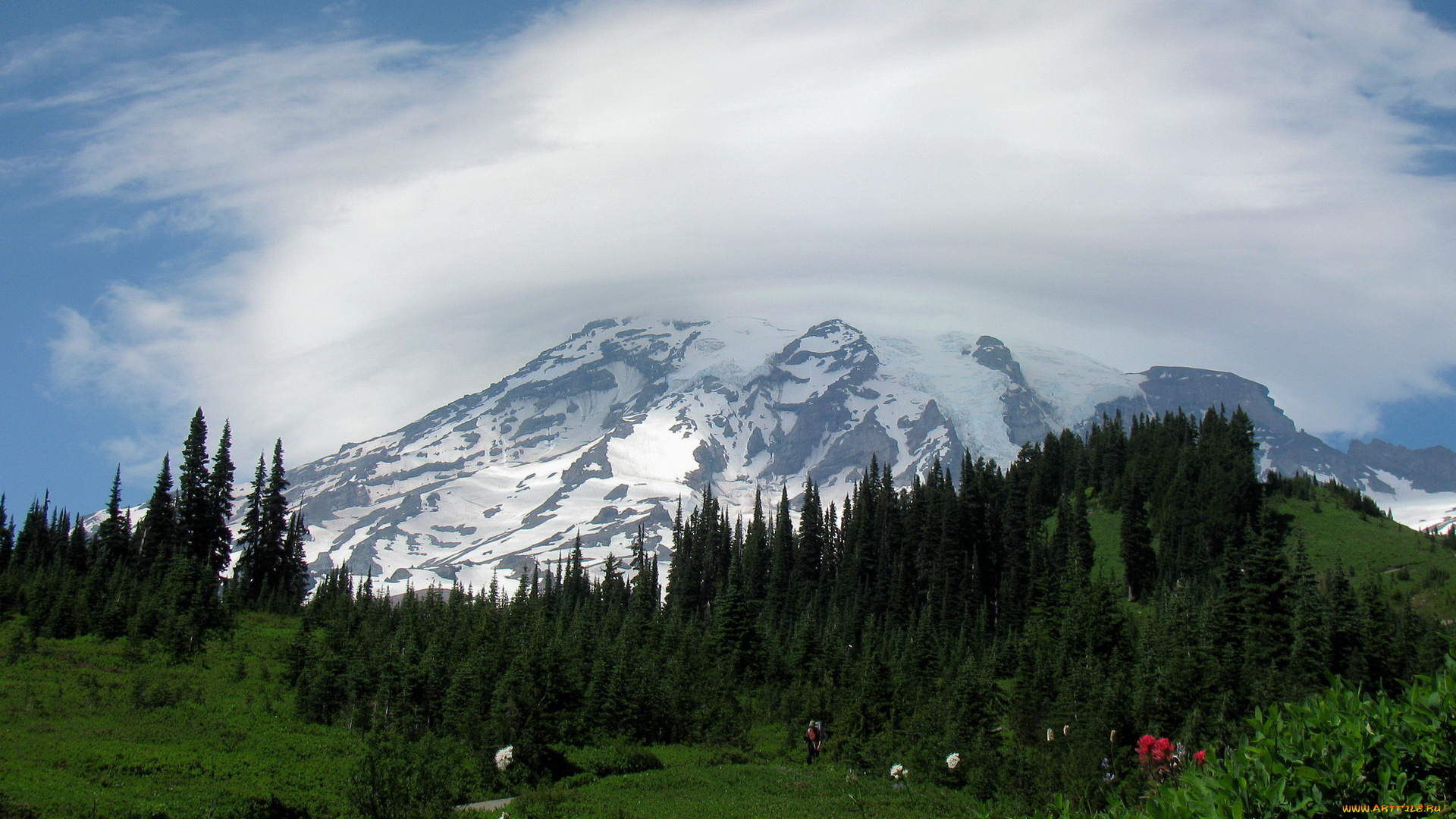 природа, горы, washington, usa, mount, rainier