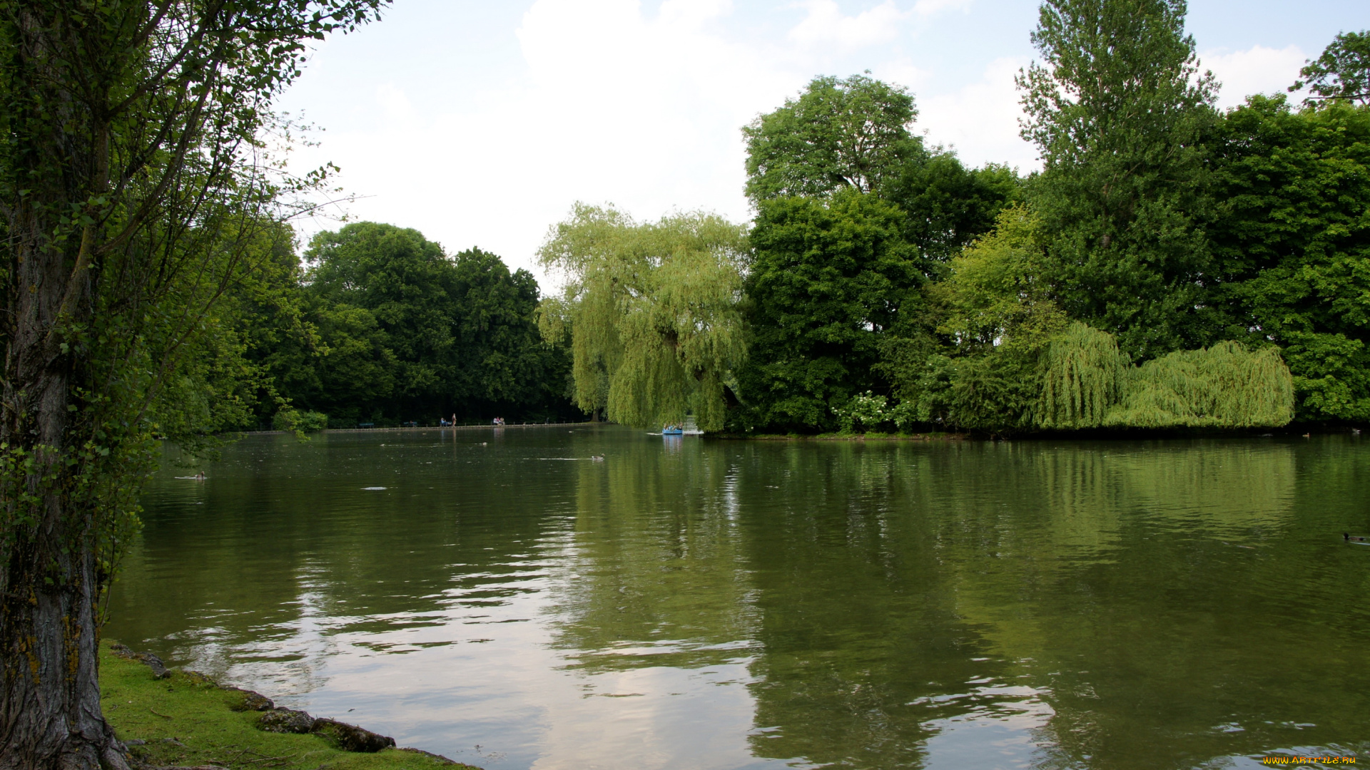 природа, парк, english, garden, lake, мюнхен, германия