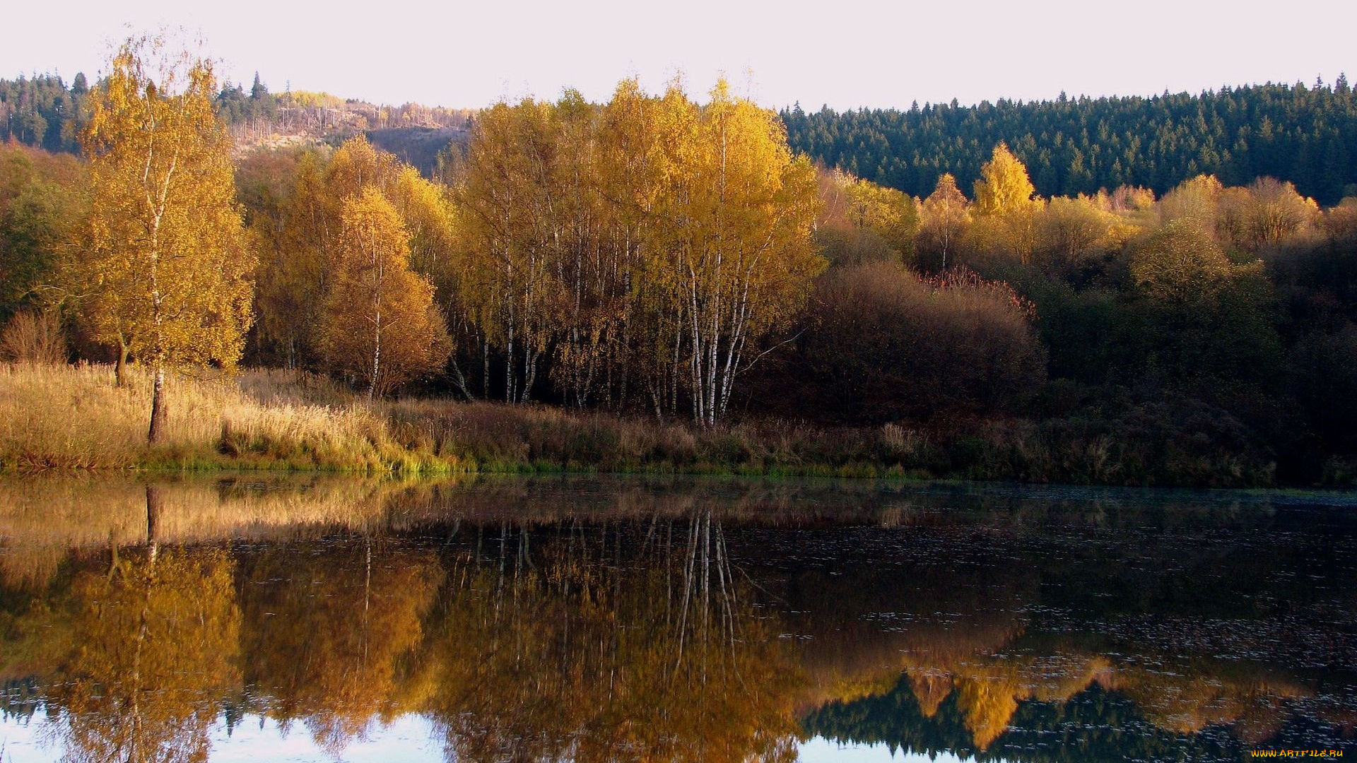 природа, реки, озера, деревья, лес, река, осень