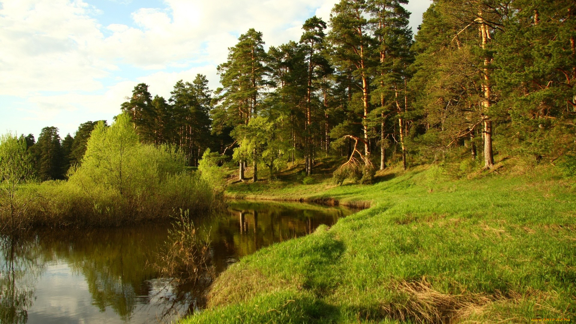 природа, реки, озера, лес, река, зелень, берег