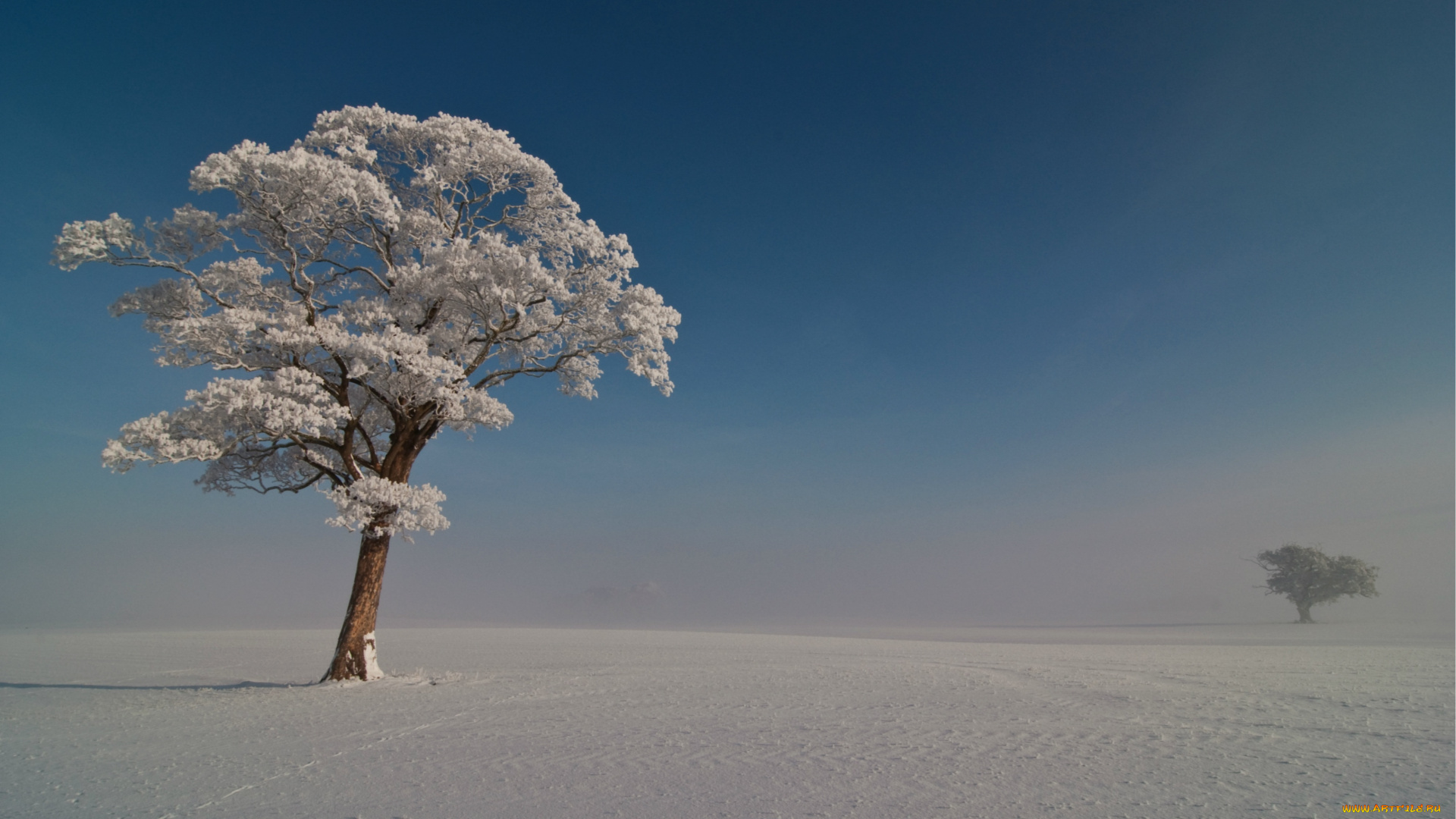 природа, зима, деревья, небо, снег, иней