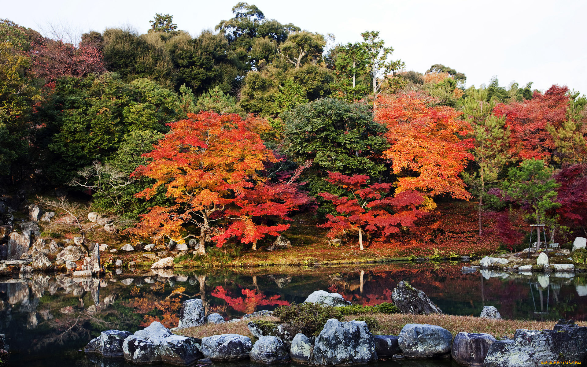 природа, лес, осень, япония, деревья, озеро