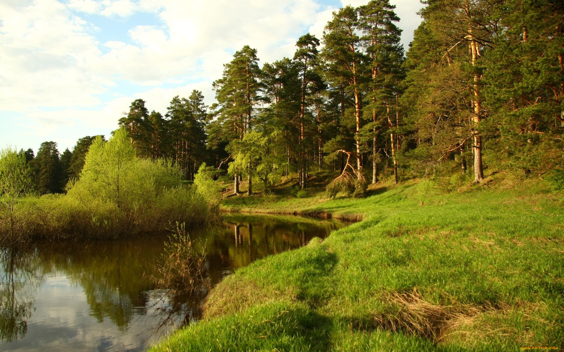 природа, реки, озера, лес, река, зелень, берег