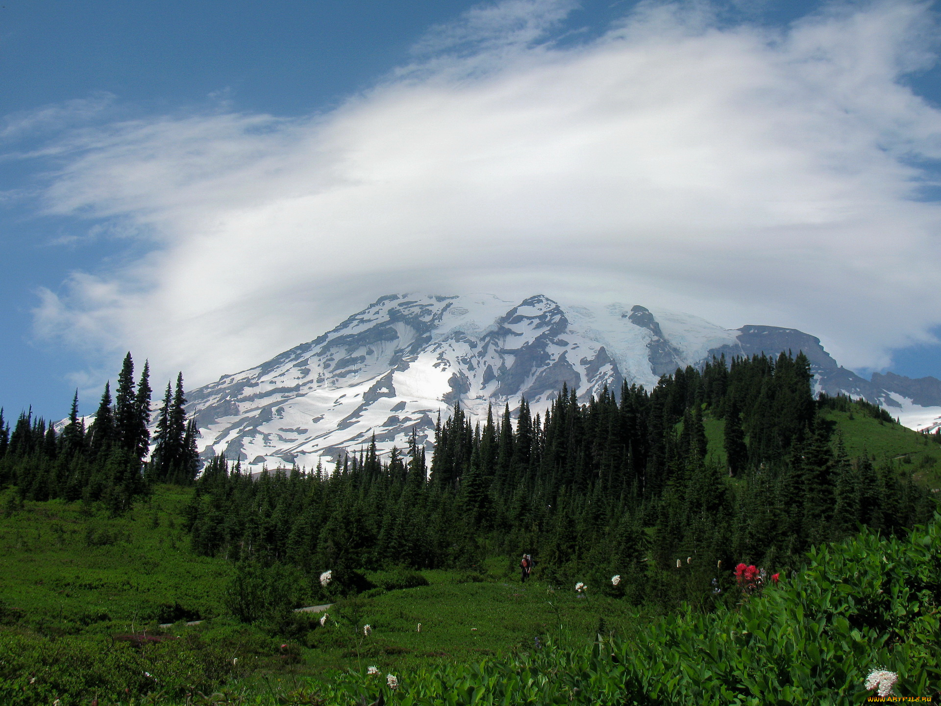 природа, горы, washington, usa, mount, rainier