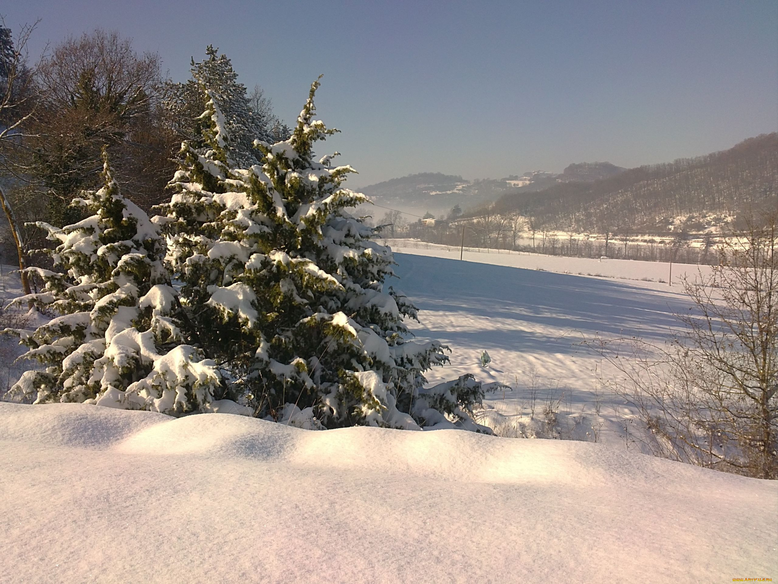природа, зима, пейзаж, снег, ели