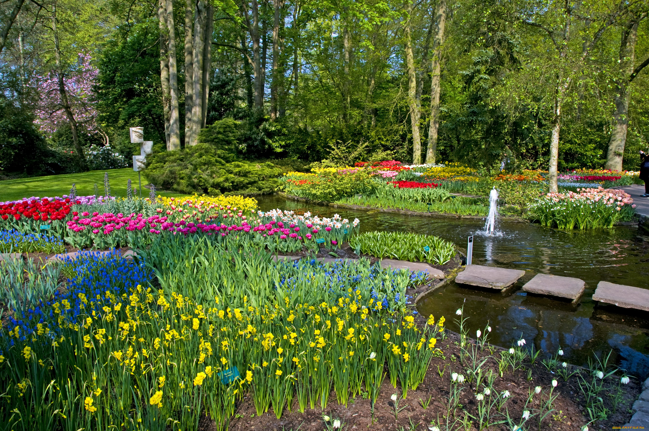 природа, парк, keukenhof, lisse, netherlands