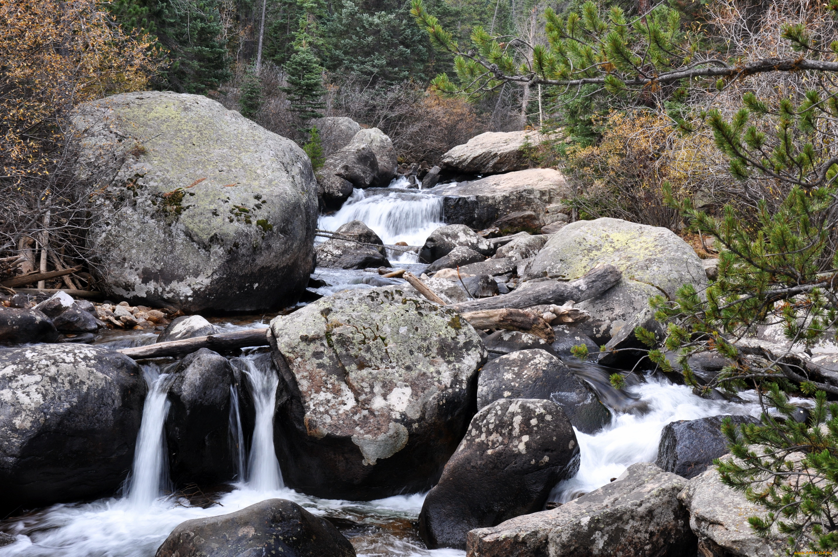 природа, реки, озера, colorado, rocky, mountain