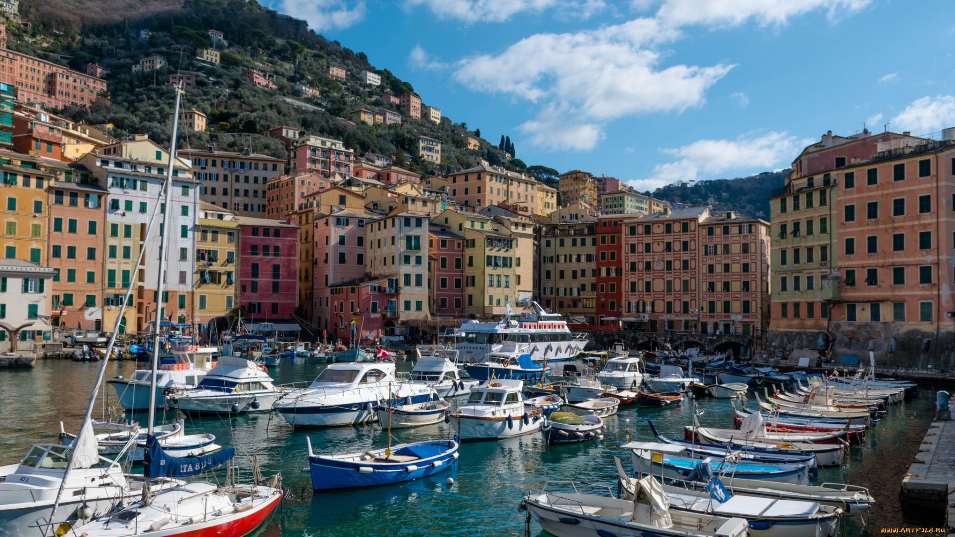 porto, di, camogli, корабли, порты, , , причалы, бухта