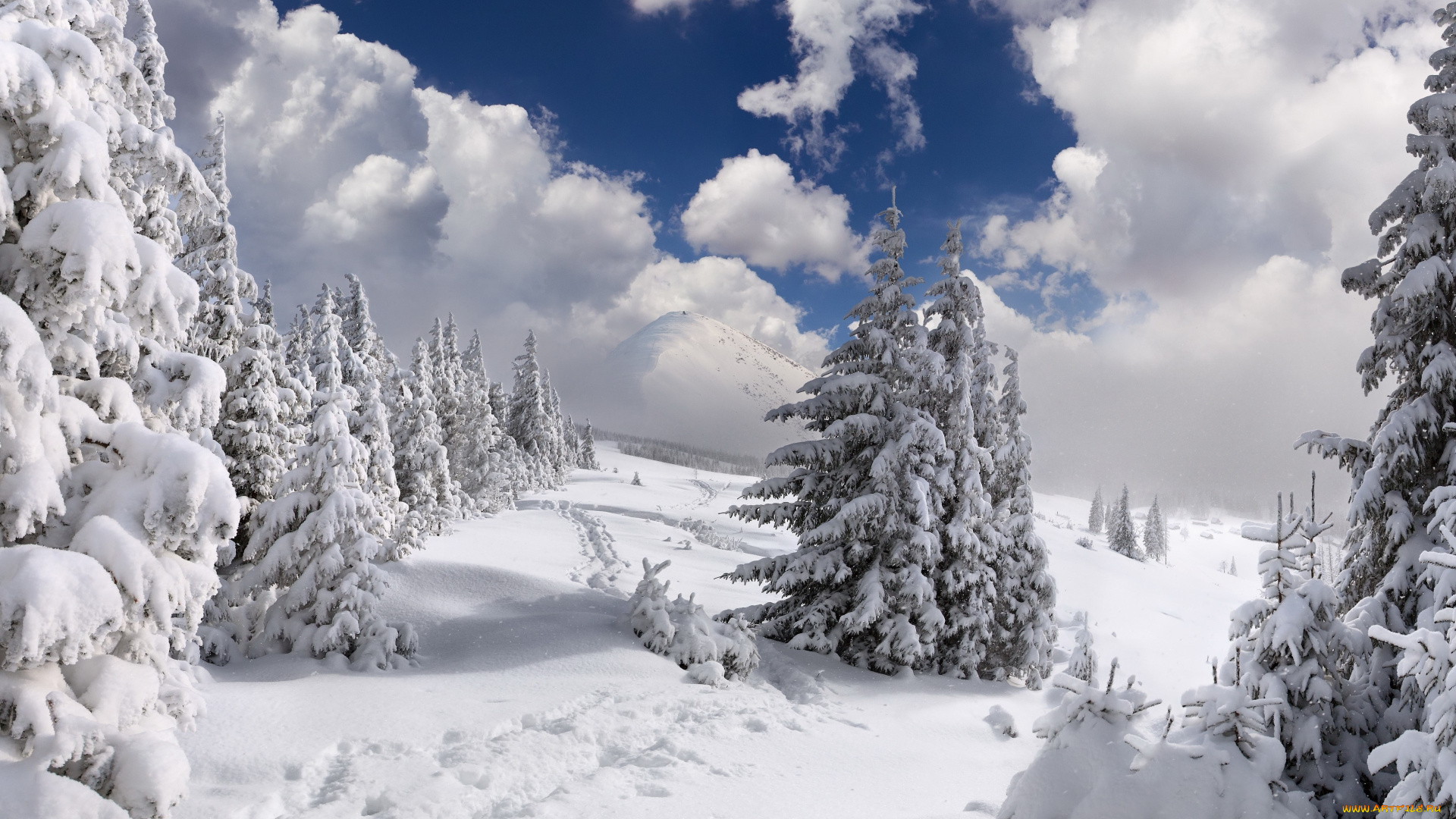 природа, зима, деревья, облака, снег
