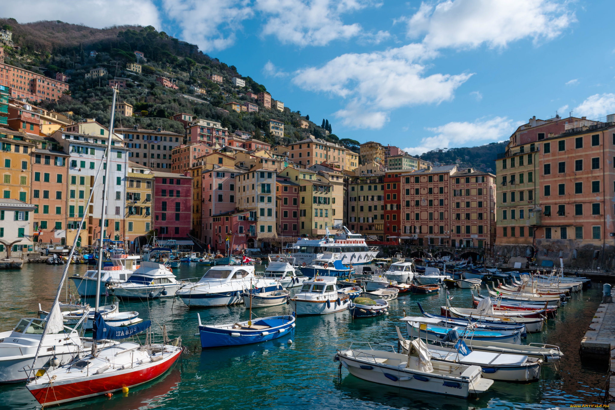 porto, di, camogli, корабли, порты, , , причалы, бухта