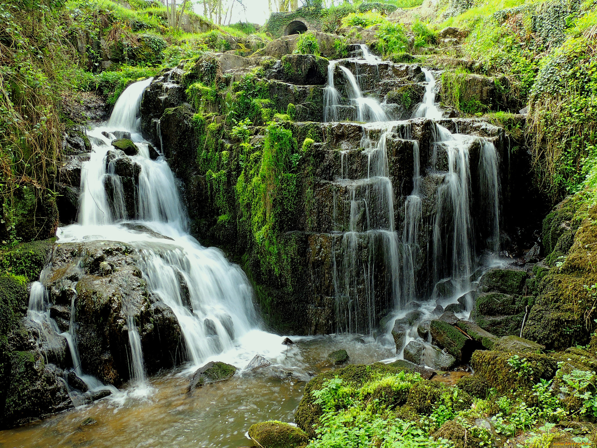 природа, водопады, водопад, река, лес