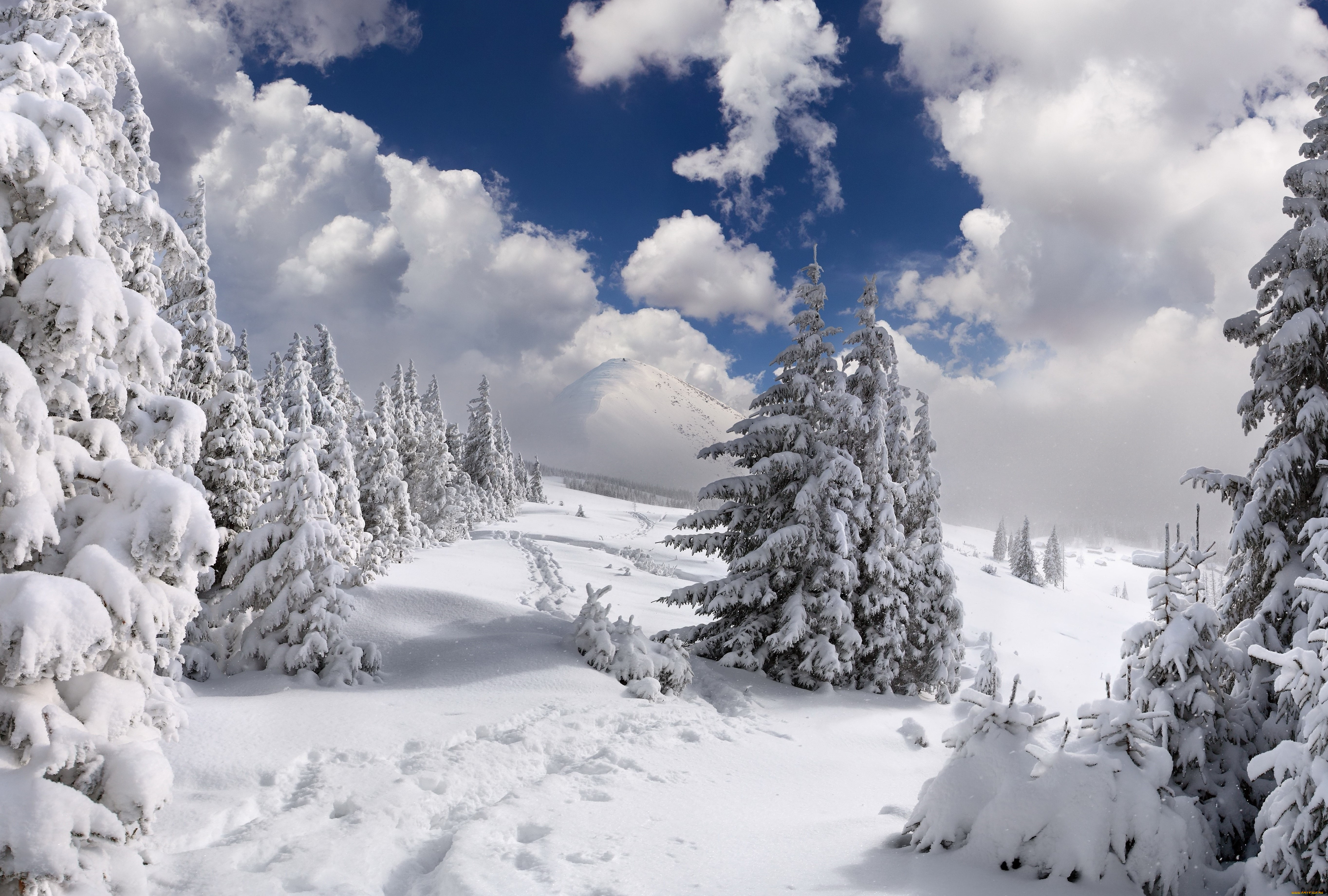 природа, зима, деревья, облака, снег