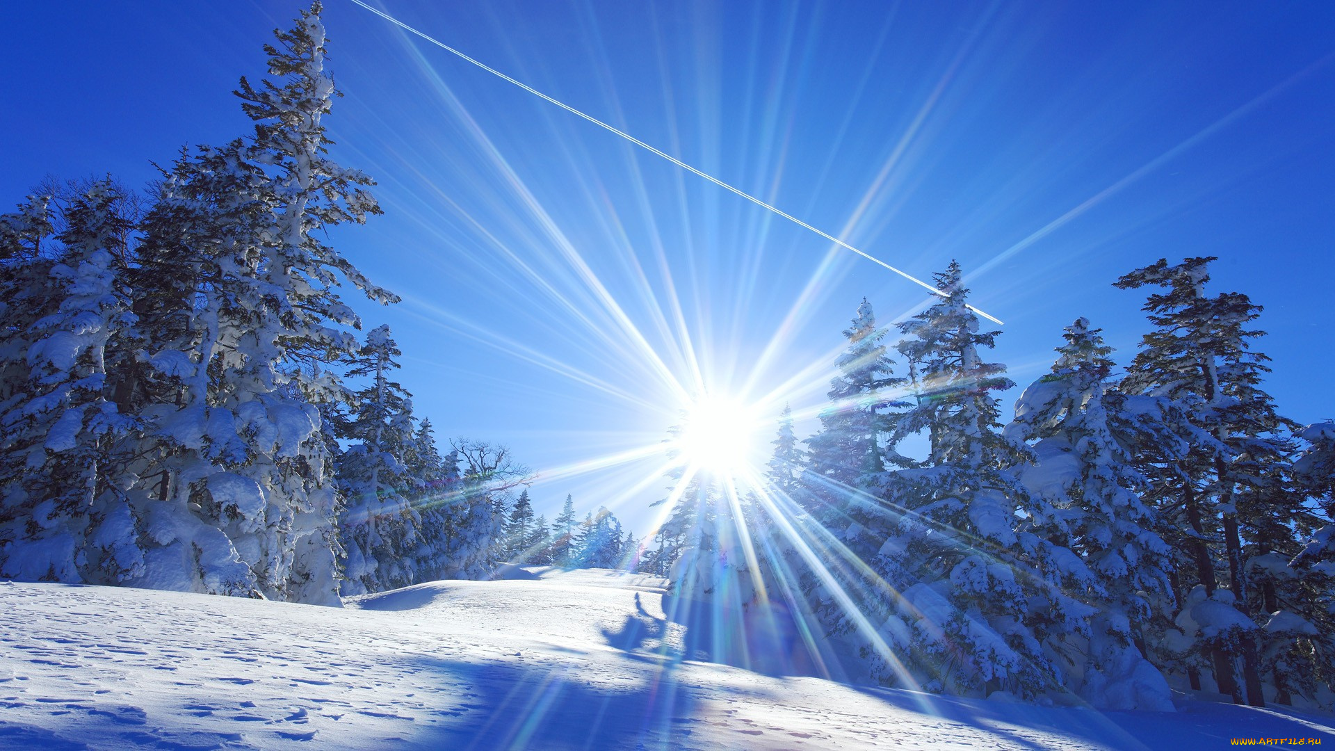 природа, зима, деревья, снег, Япония, солнце