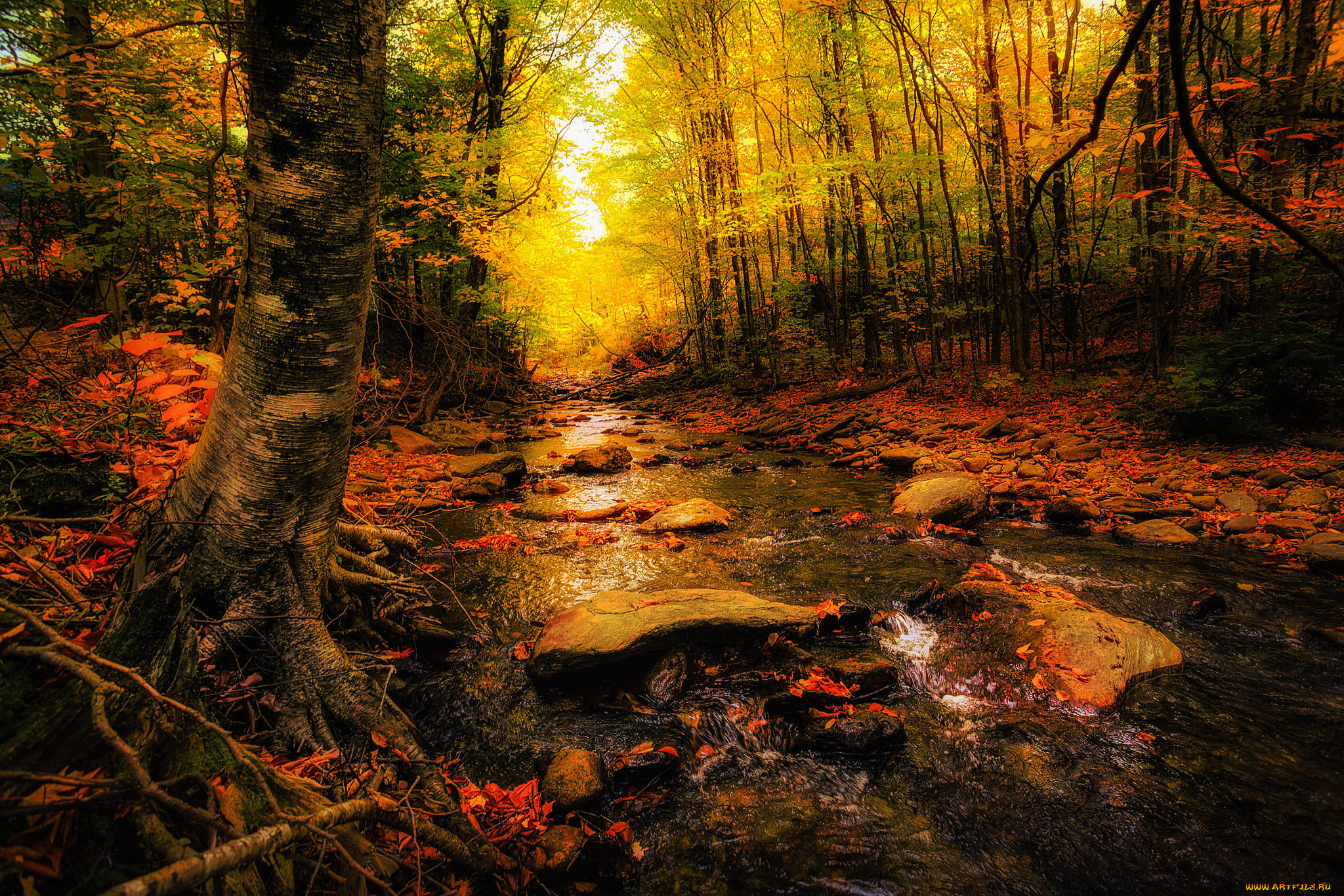 природа, реки, озера, осень, лес, деревья, река, камни