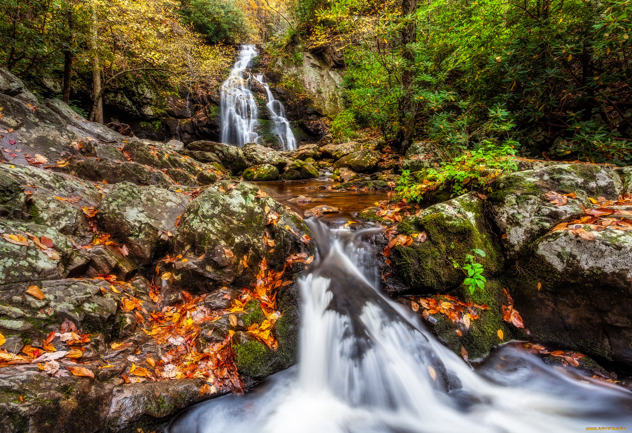 природа, водопады, водопад, река, лес