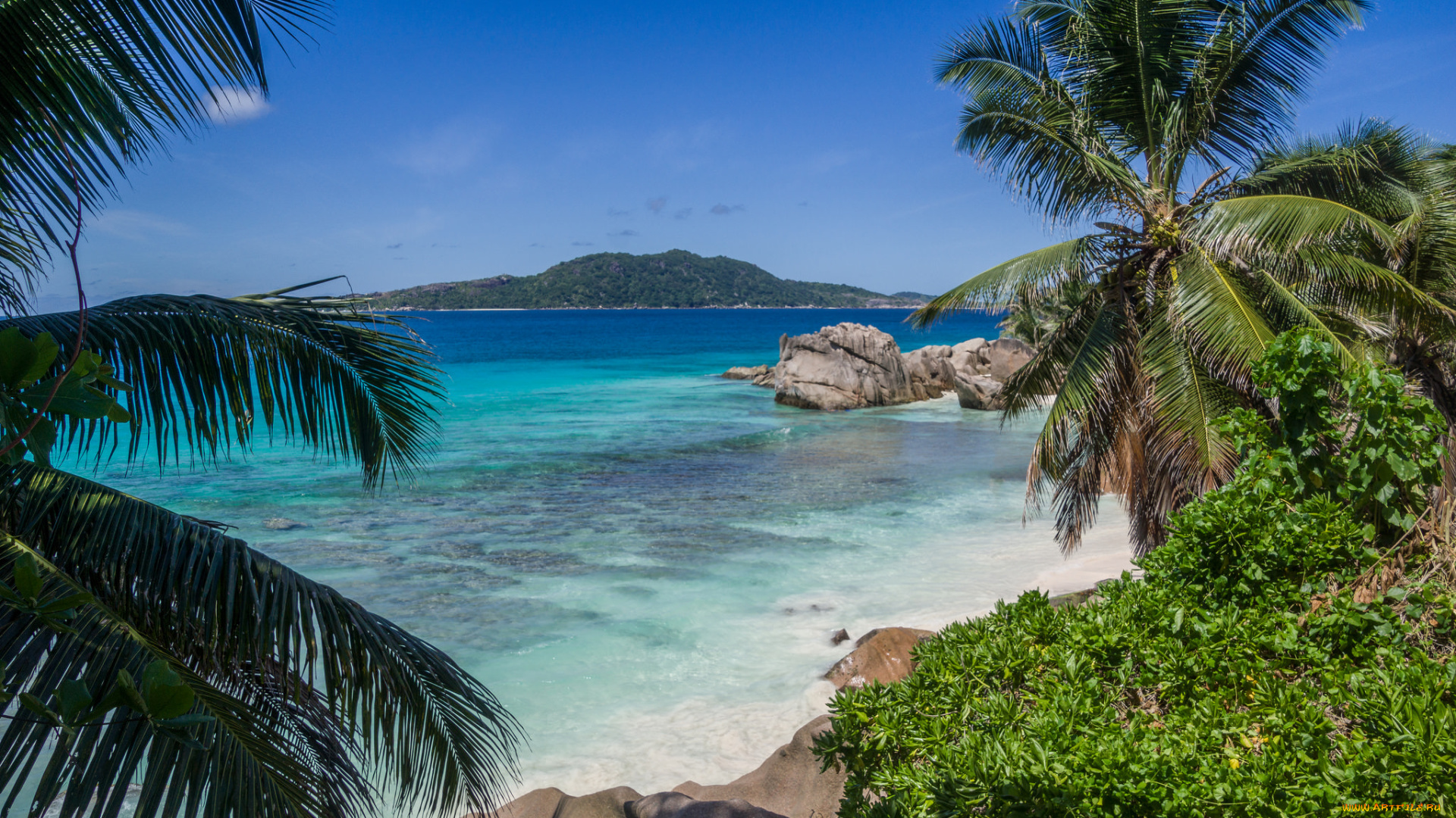 seychelles, природа, тропики, острова, океан