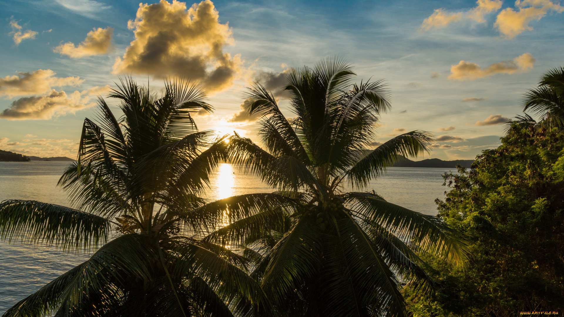 seychelles, природа, тропики, острова, океан
