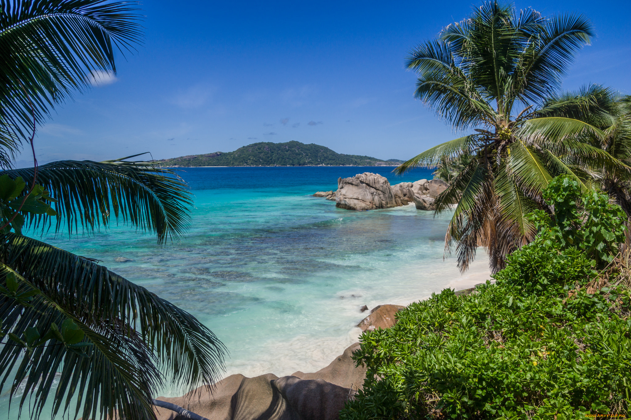 seychelles, природа, тропики, острова, океан
