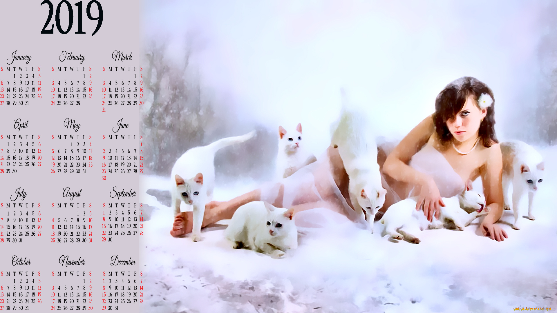календари, фэнтези, белый, кошка, девушка, взгляд, цветок
