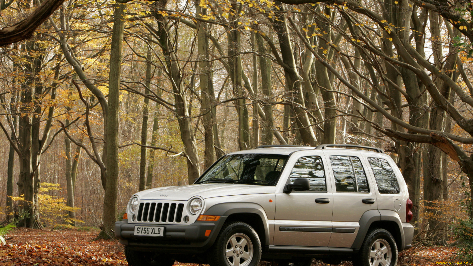 автомобили, jeep