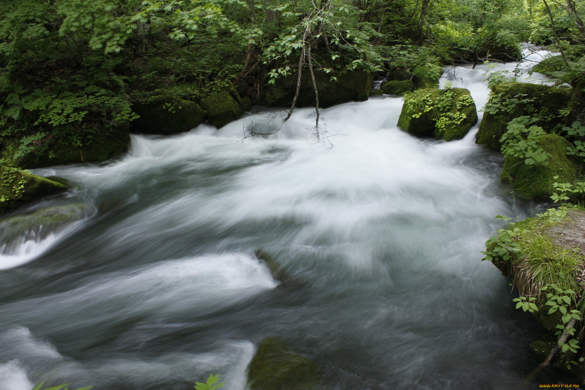 природа, реки, озера, вода, камни