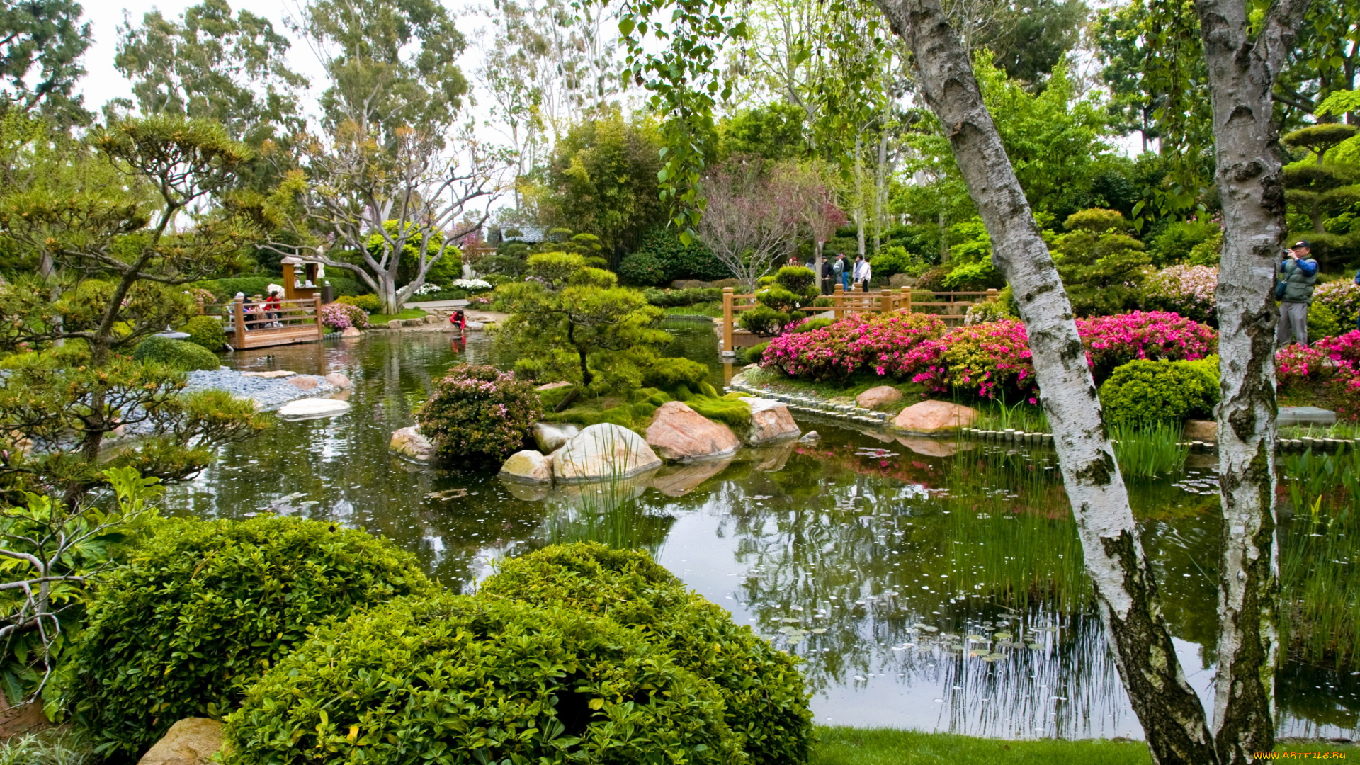 miller, japanese, garden, природа, парк, сша, калифорния