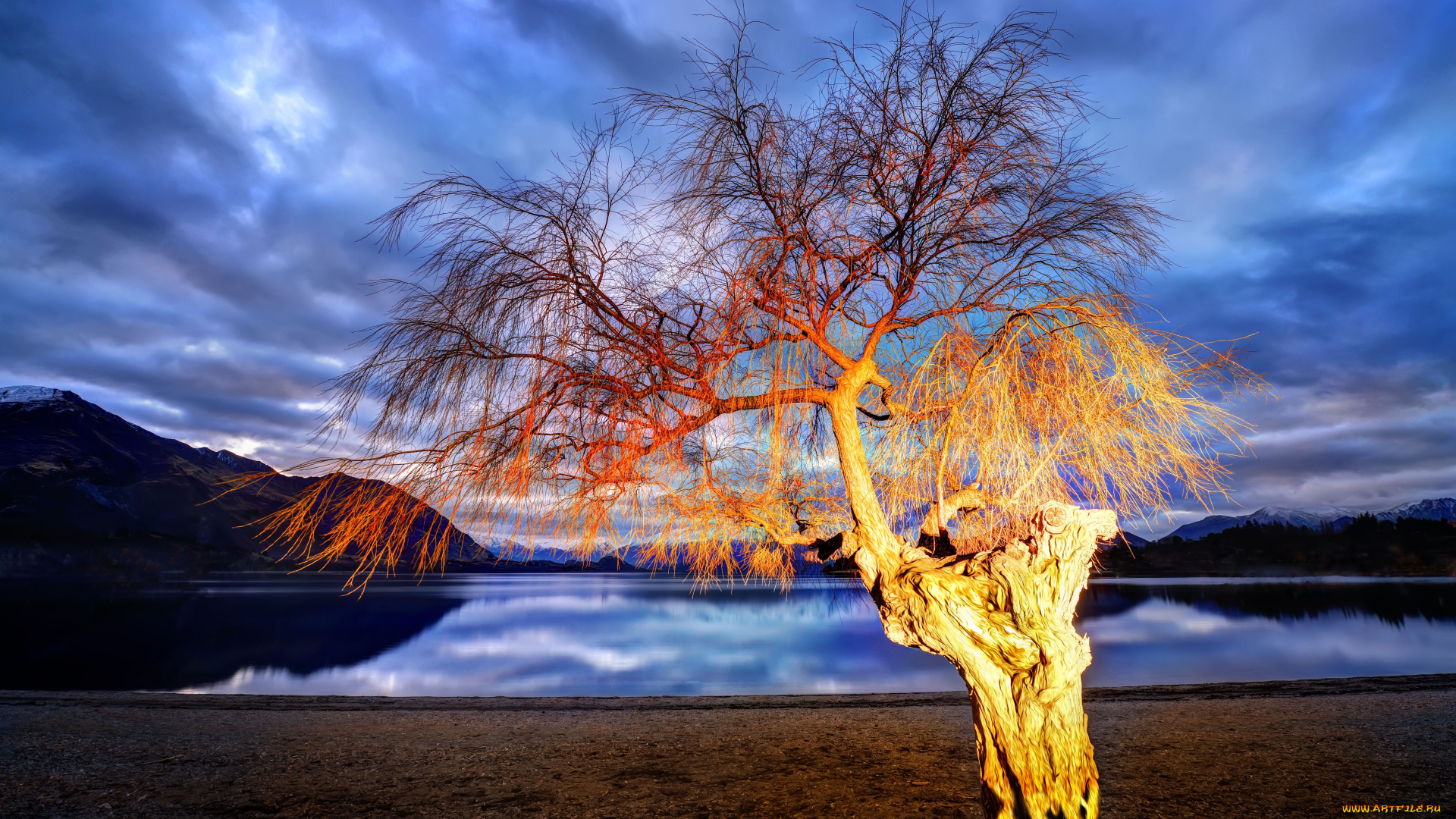 природа, деревья, новая, зеландия, lake, wanaka, new, zealand, озеро, дерево, горы