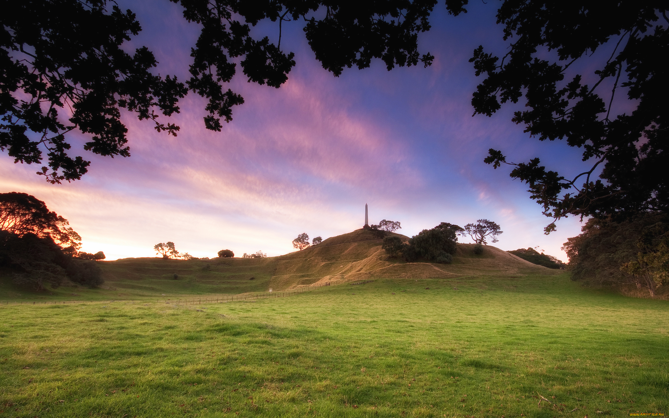 cornwall, park, dusk, природа, другое, трава, парк, деревья, национальный