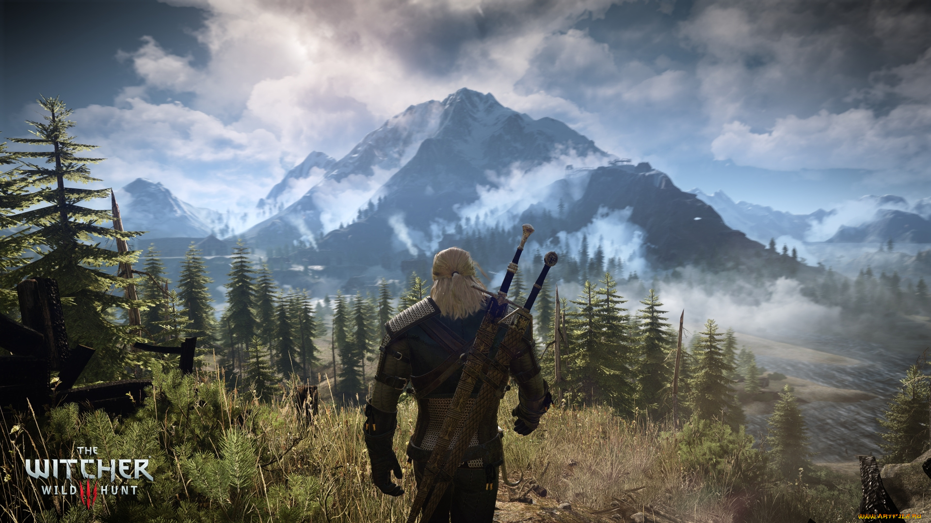 The Witcher 3 Дополнения Купить