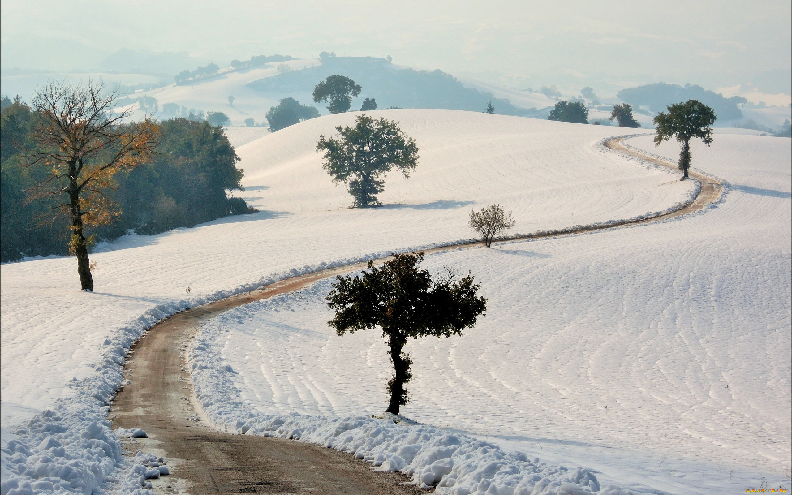 природа, зима, снег, дорога, поле
