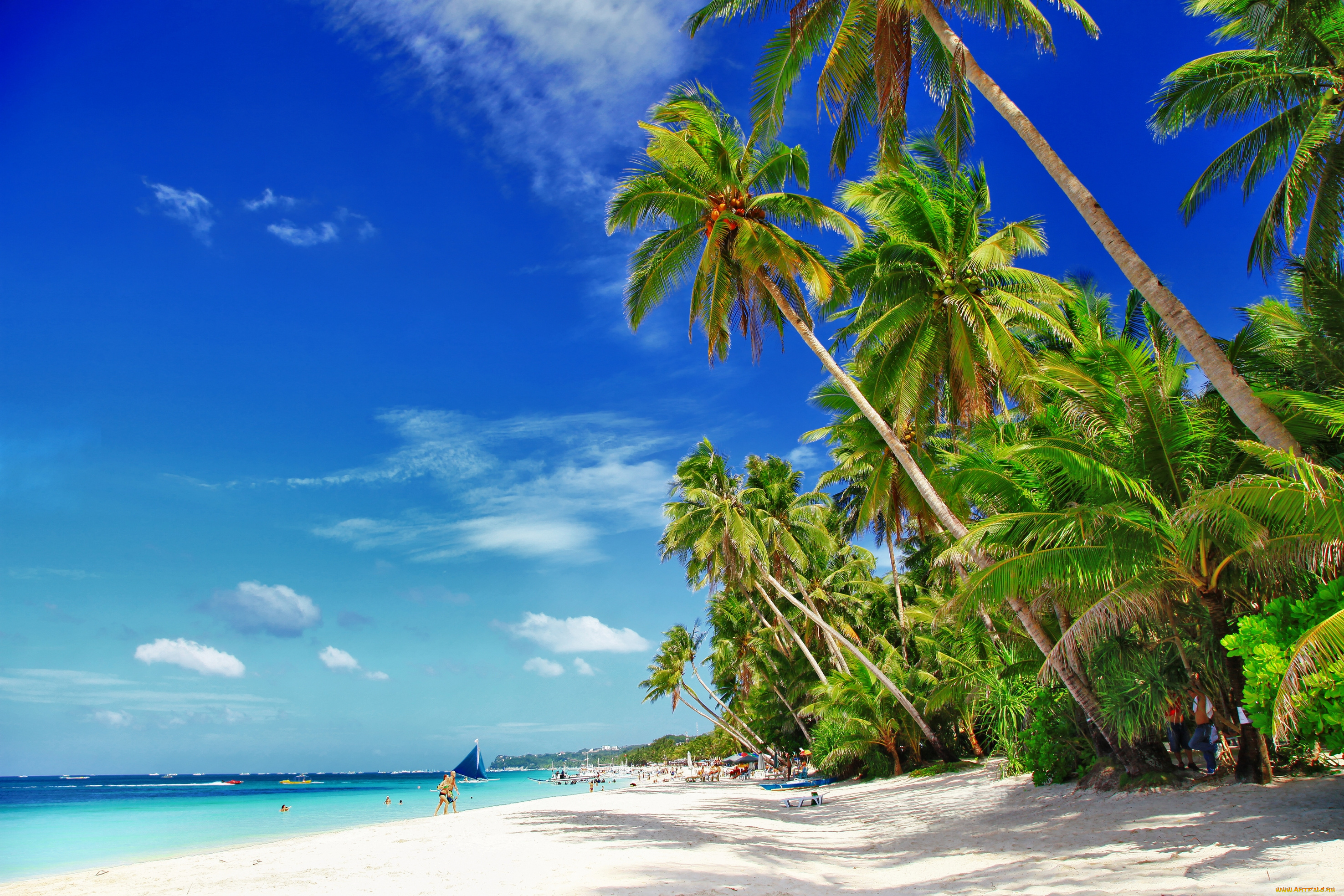 boracay, island, , philippines, природа, тропики, boracay, philippines, боракай, филиппины, море, пляж, пальмы, песок