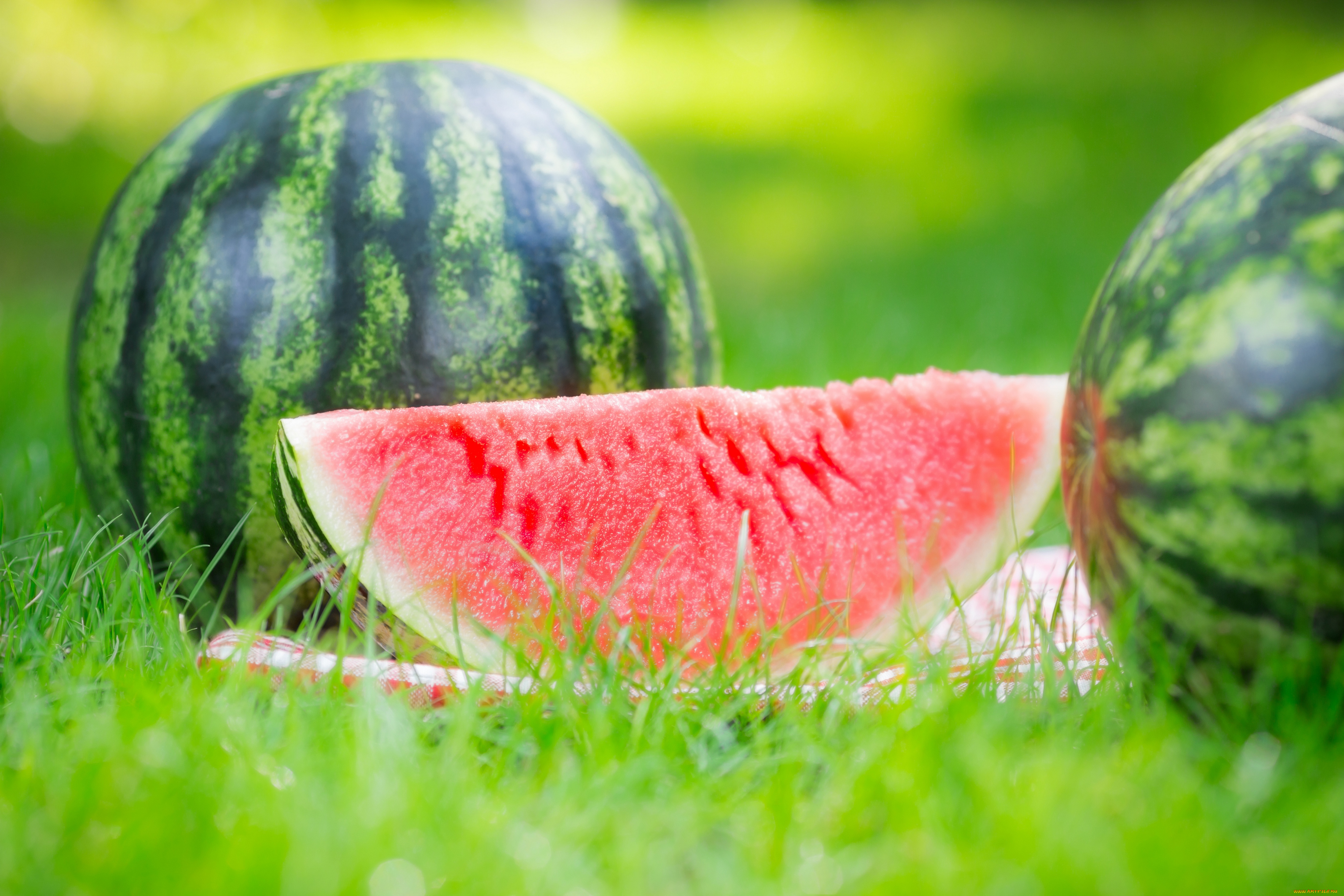 еда, арбуз, cloves, watermelon, grass, nature, дольки, травка, природа