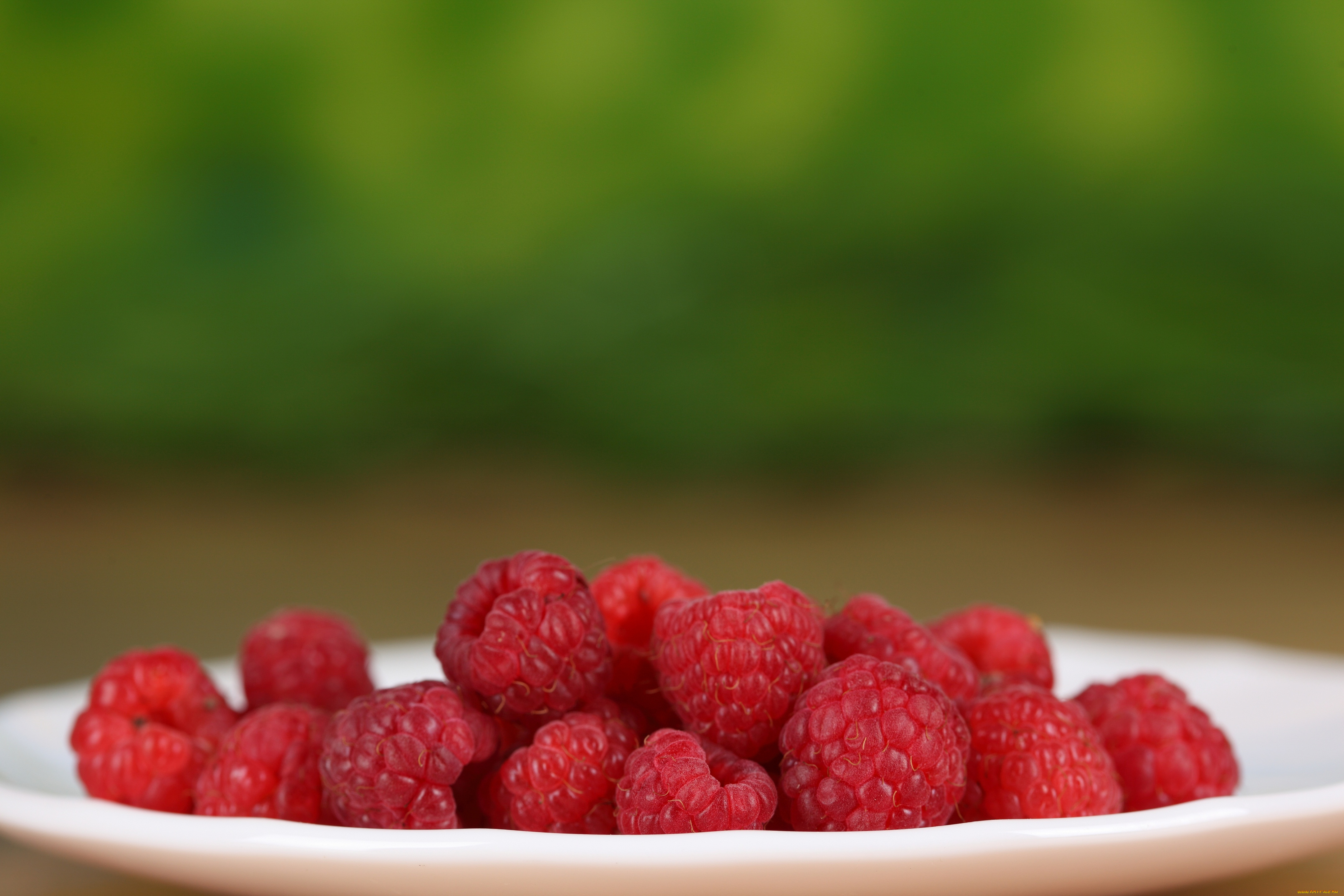природа еда малина ягоды nature food raspberry berries загрузить