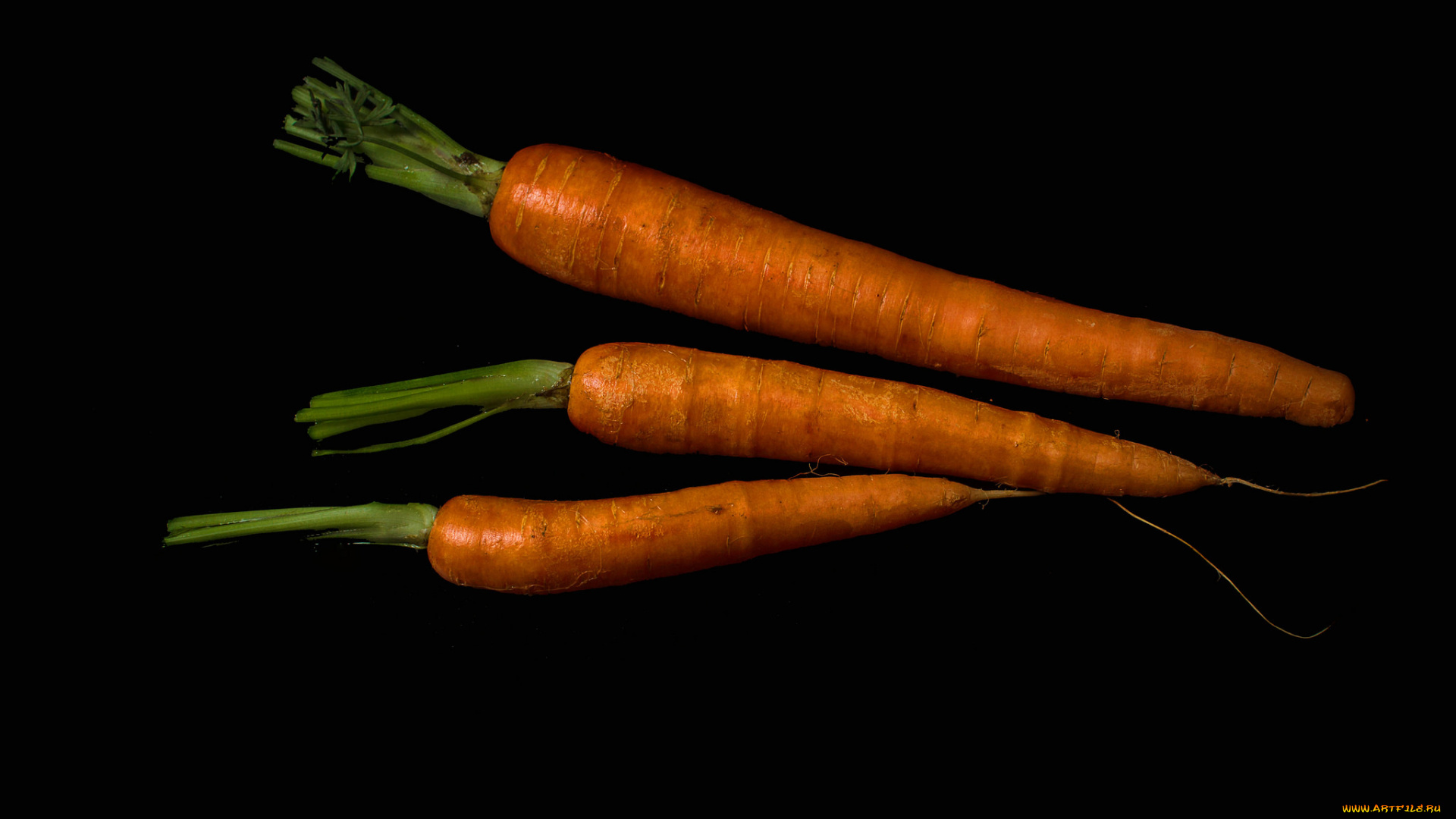 еда, морковь, морковка