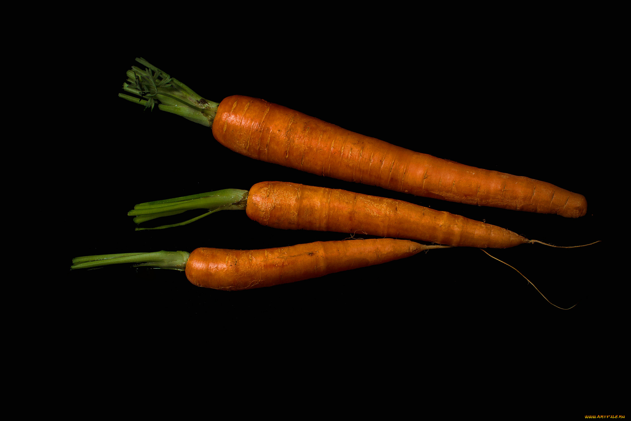 еда, морковь, морковка