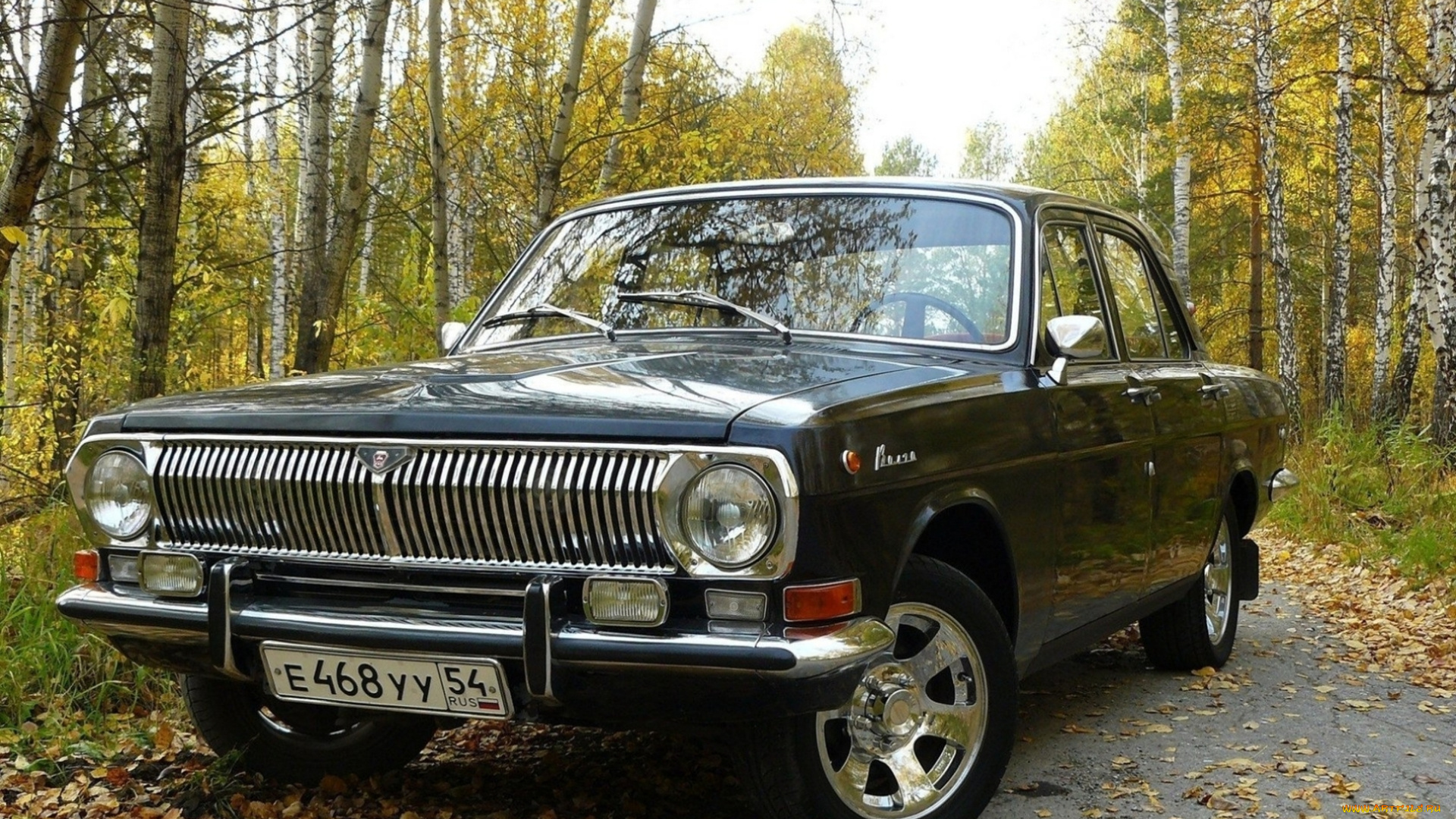 gaz-volga, 2410-, автомобили, газ, vip