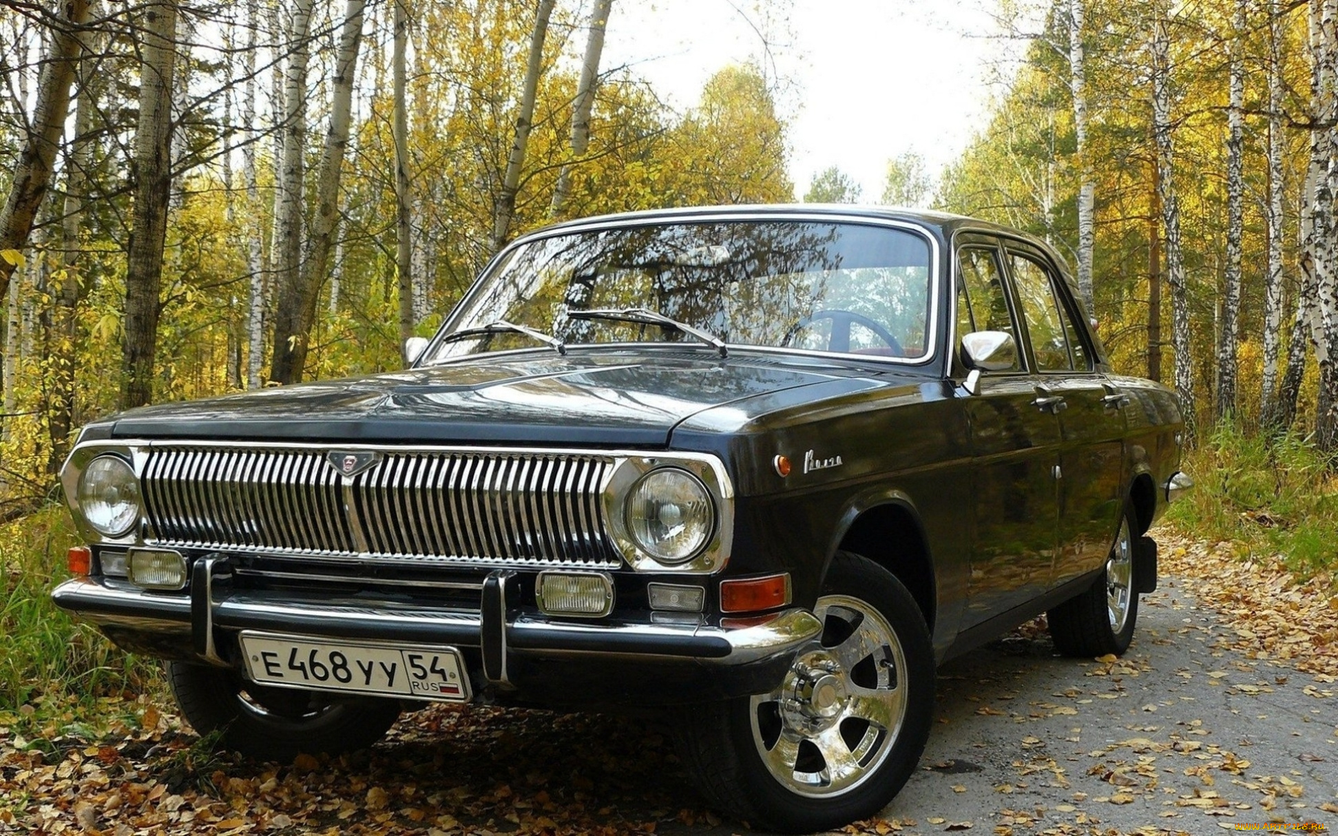 gaz-volga, 2410-, автомобили, газ, vip