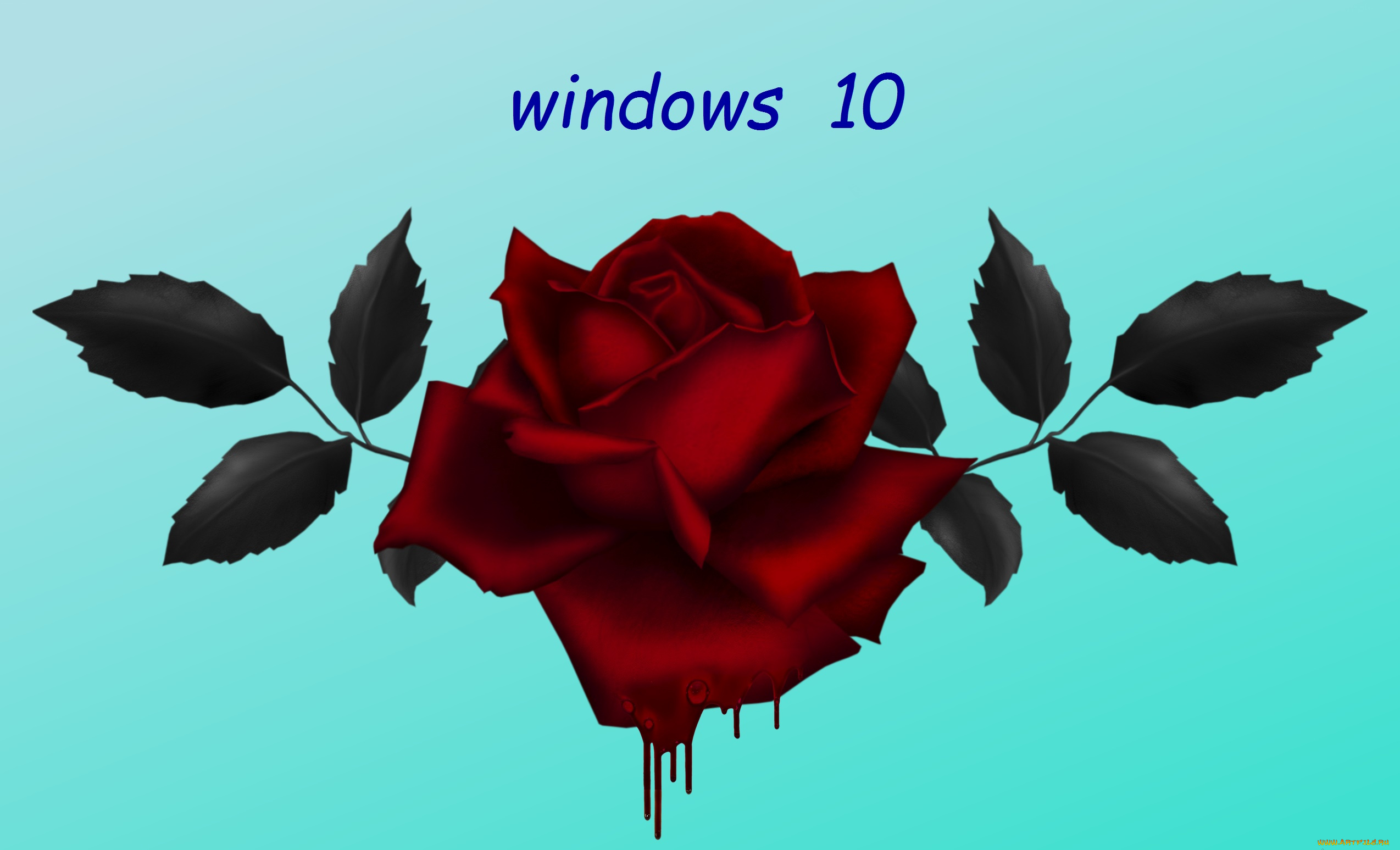 компьютеры, windows, , 10, фон, логотип