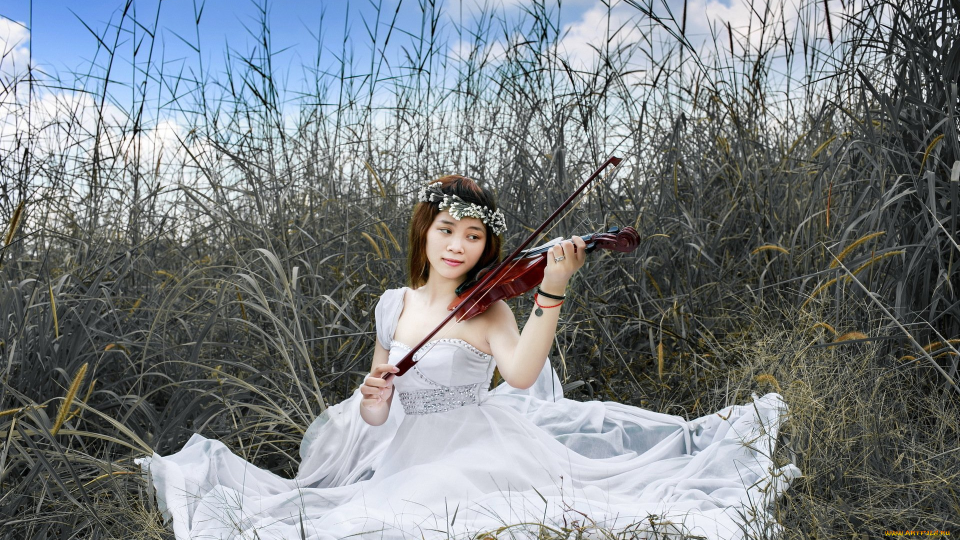 музыка, -другое, девушка, скрипка, азиатка, трава, природа