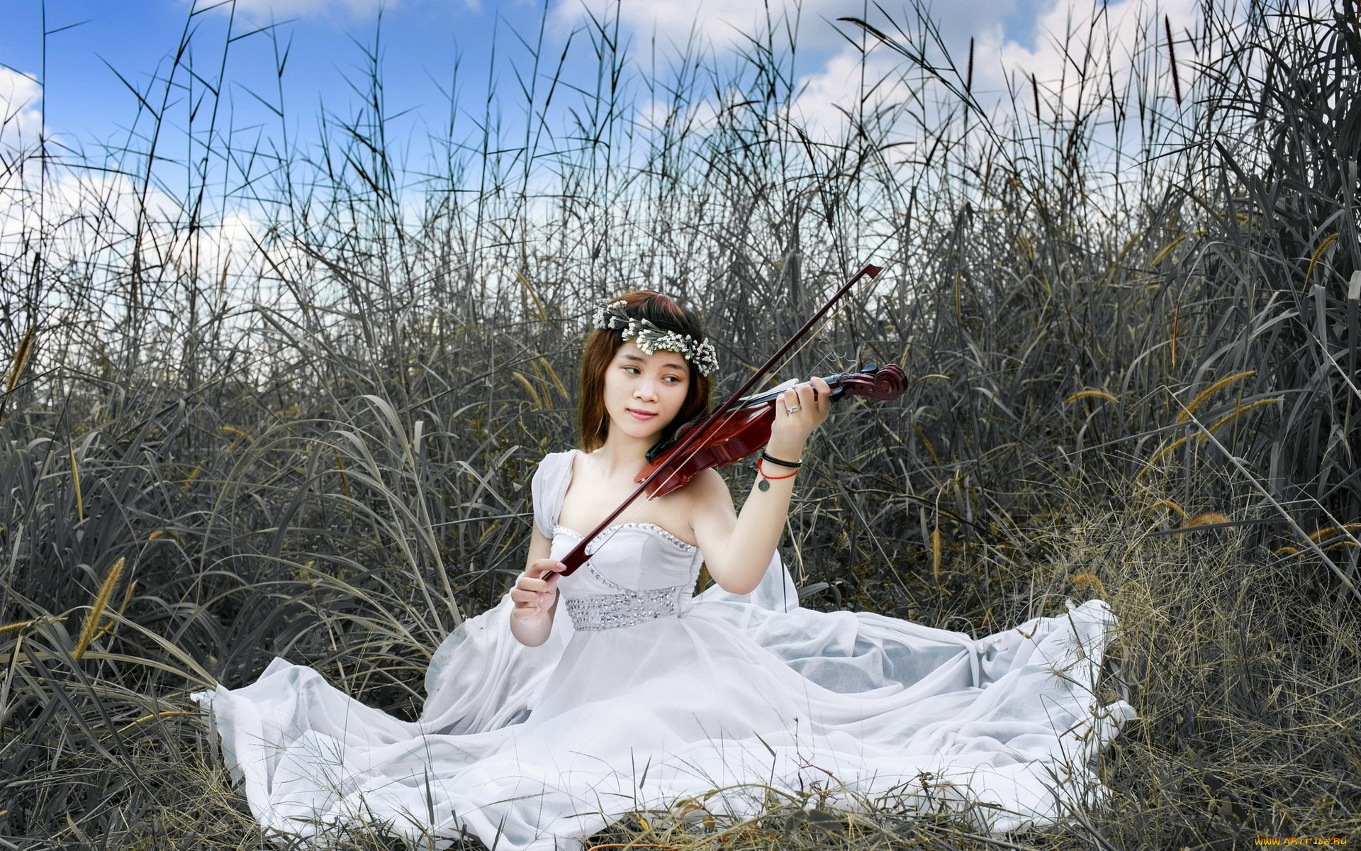 музыка, -другое, девушка, скрипка, азиатка, трава, природа