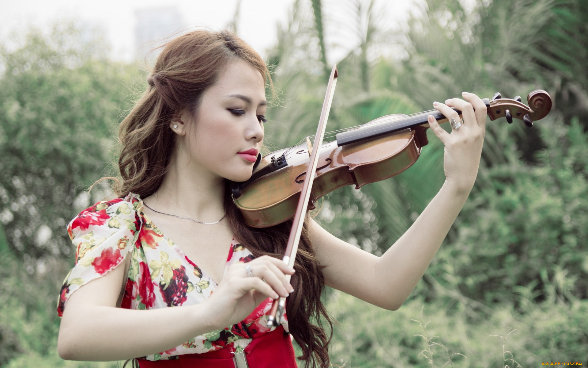музыка, -другое, скрипка, девушка, азиатка
