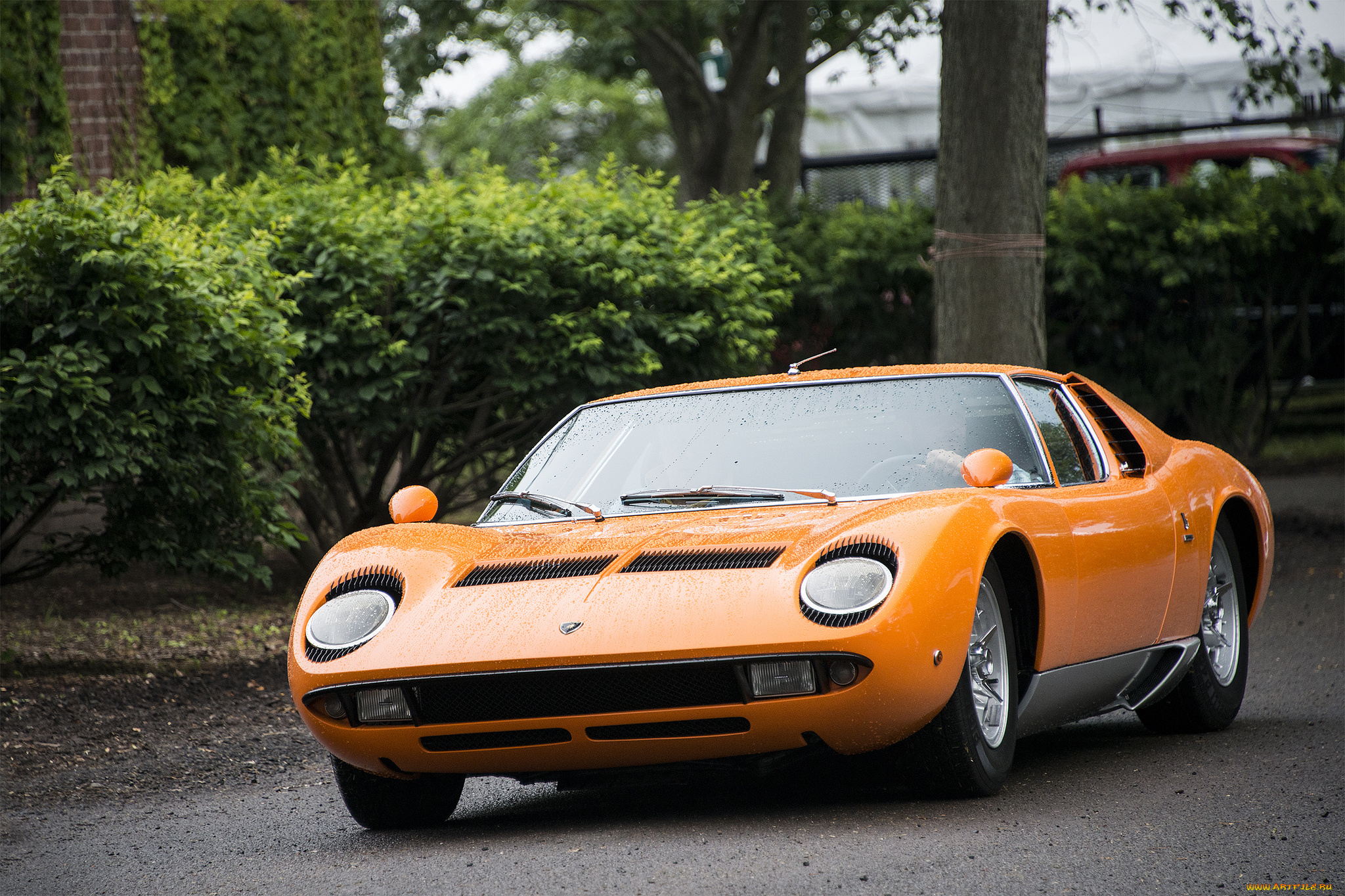 lamborghini, miura, s, coupe, , 1970, , автомобили, lamborghini, автопробег, выставка, автошоу