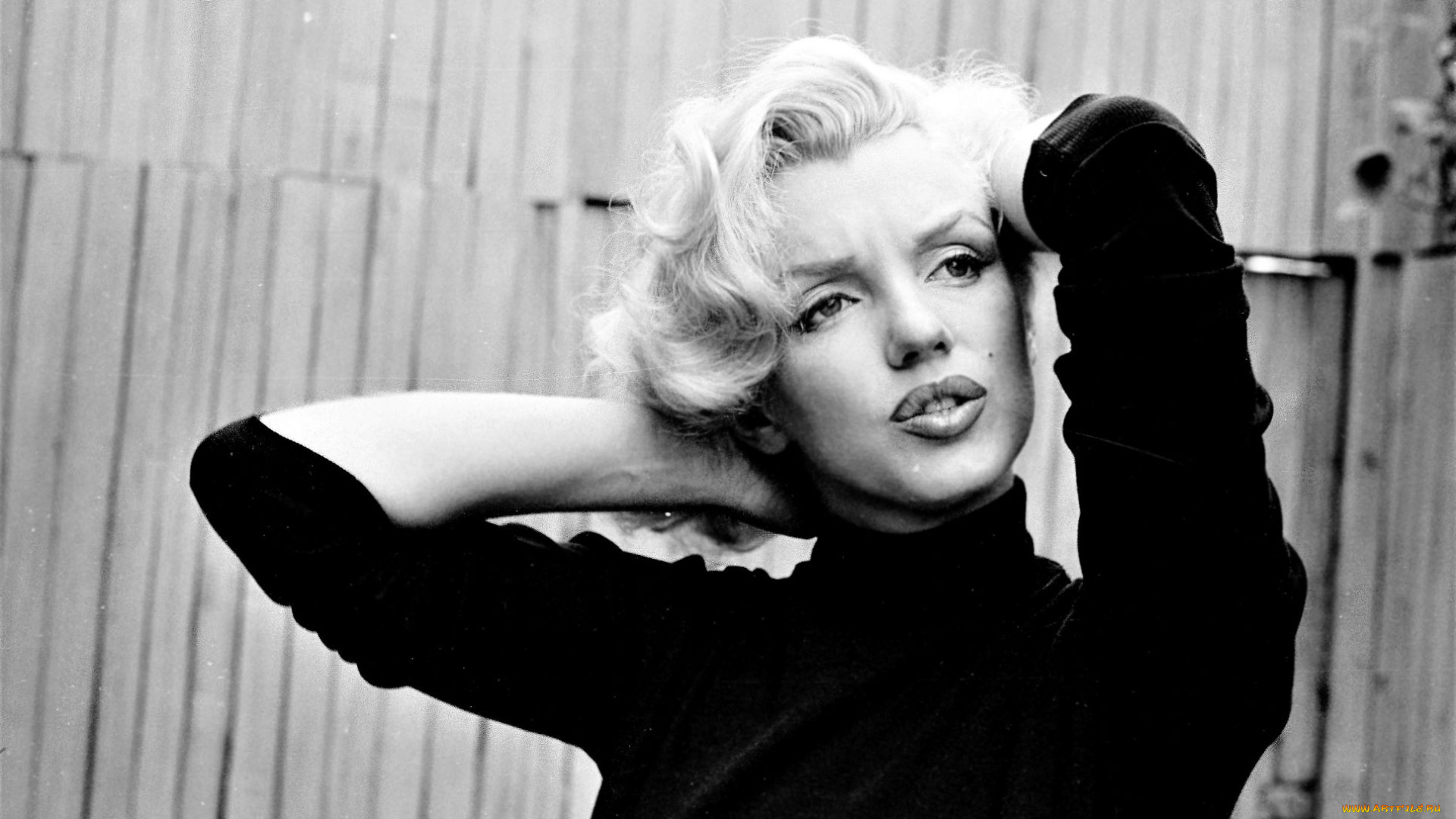 девушки, marilyn, monroe, актриса, блондинка, лицо, свитер