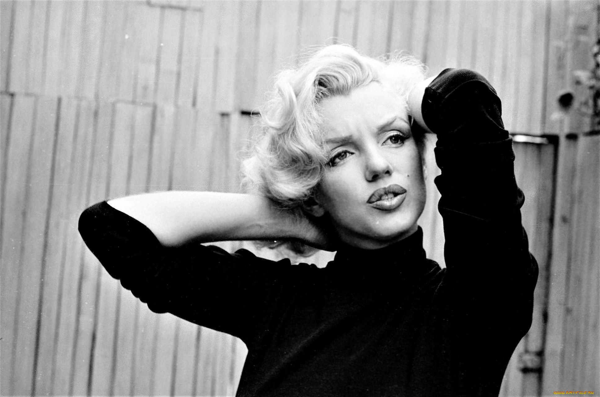 девушки, marilyn, monroe, актриса, блондинка, лицо, свитер