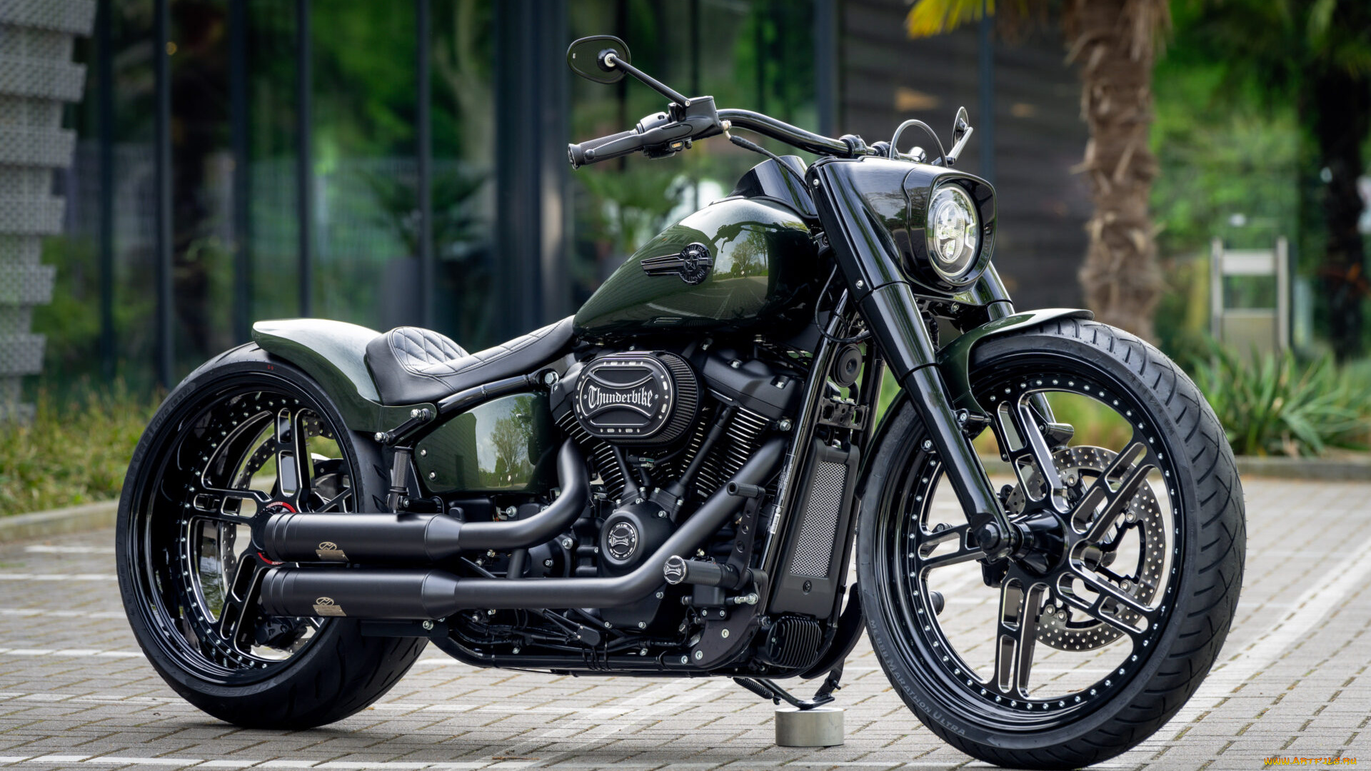 мотоциклы, harley-davidson, softail, fat, boy, 114, raptor, force, customized, custombikes